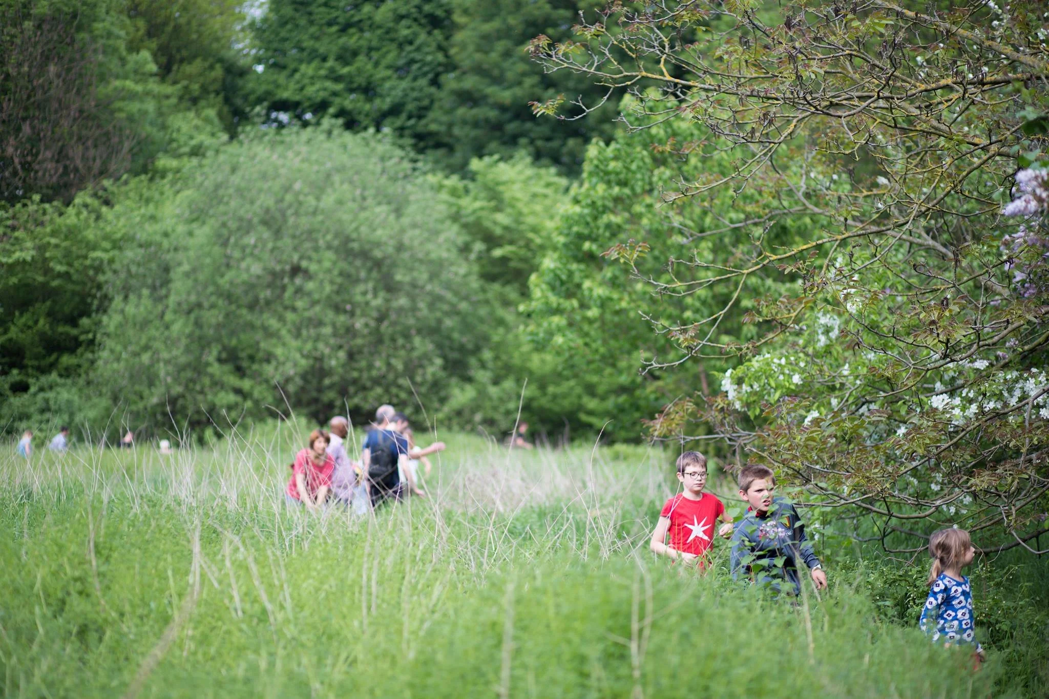 dorp in de ardennen krijgt eetbare plukroute forest to plate