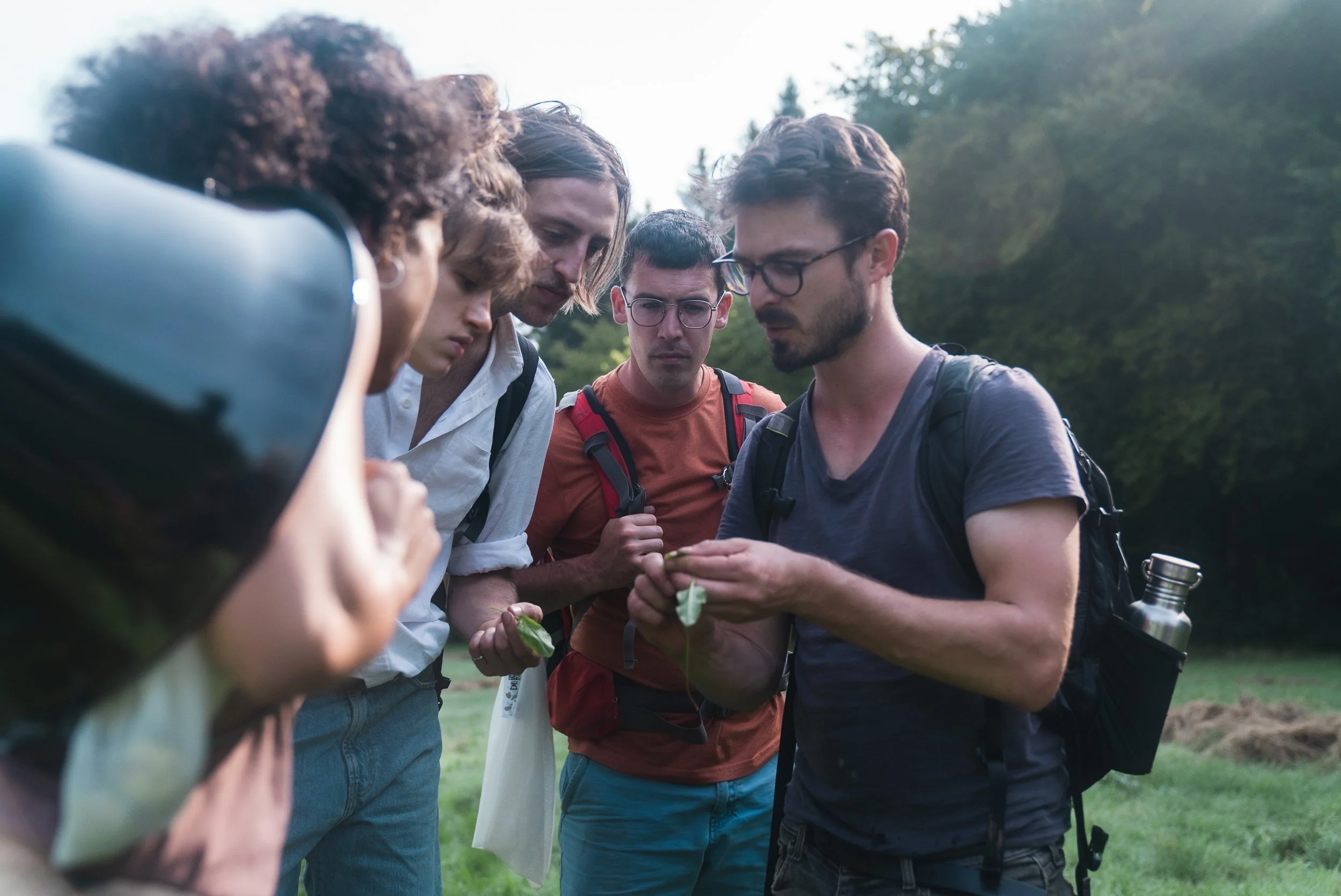 Chefs Foraging international wild food and chefs weekend — Forest To Plate