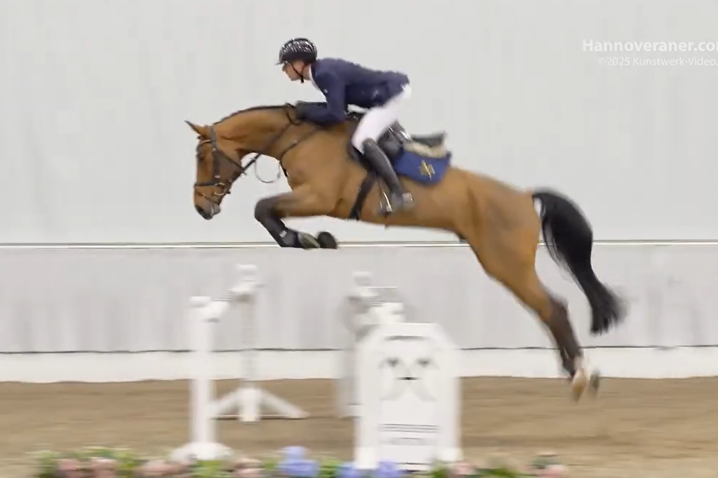 E2K Horses Maceo PJ (1).png
