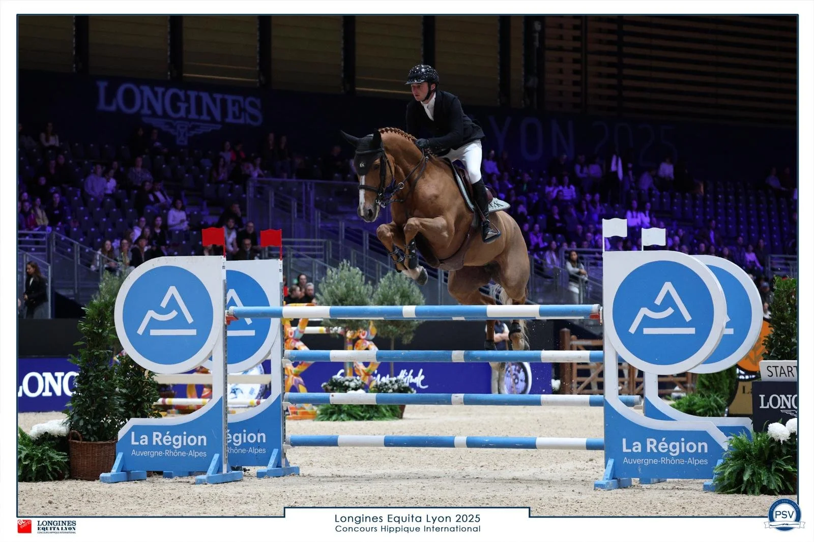 Heidi Lyon 2025 2.jpg