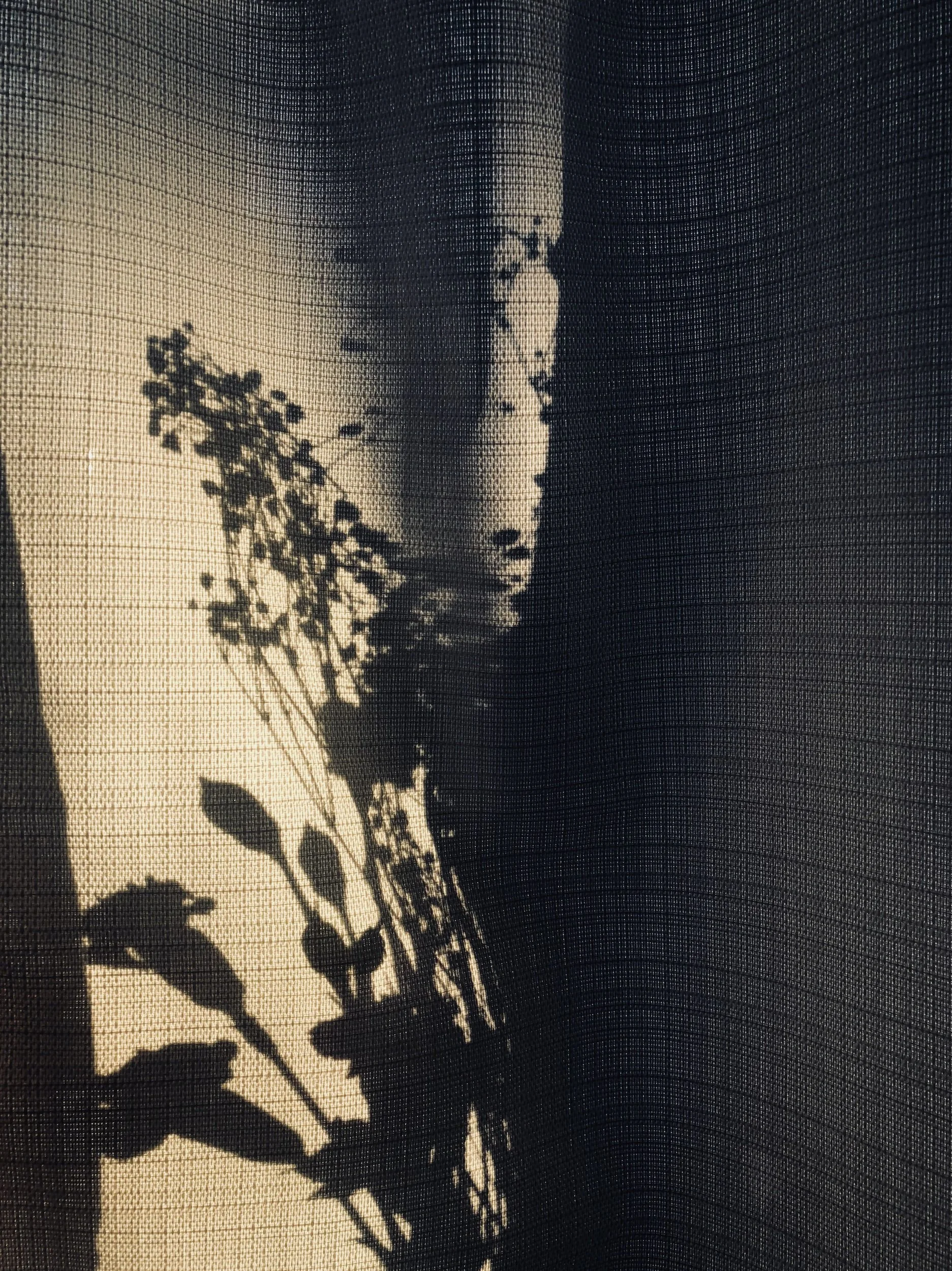 Silhouette of a plant's shadow cast on a window screen, creating a detailed pattern of leaves and flowers.