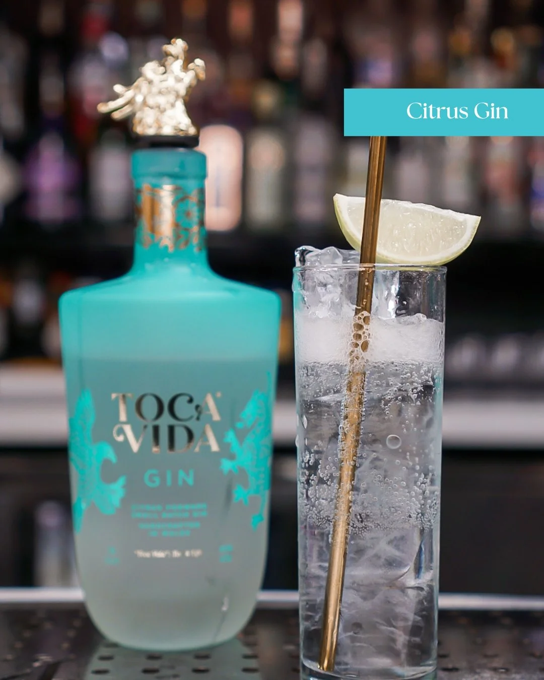 The Classic Toca Vida G&T