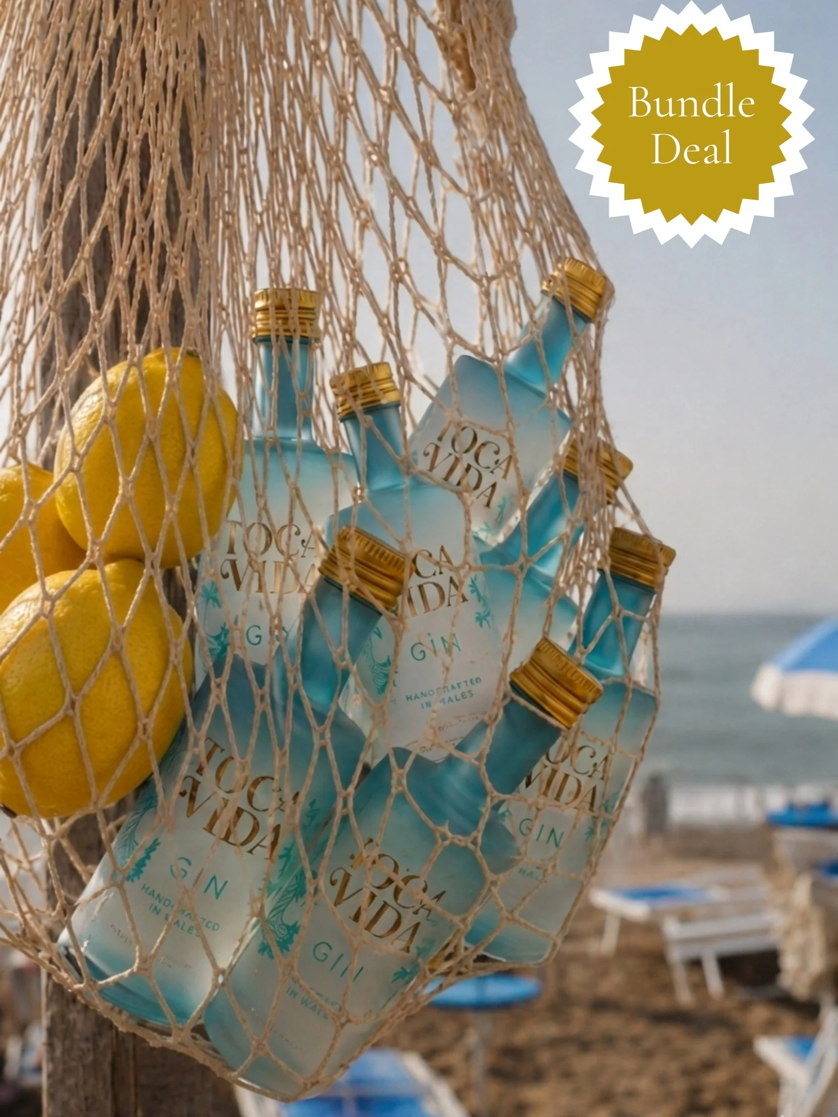 Vida by the Dozen BUNDLE