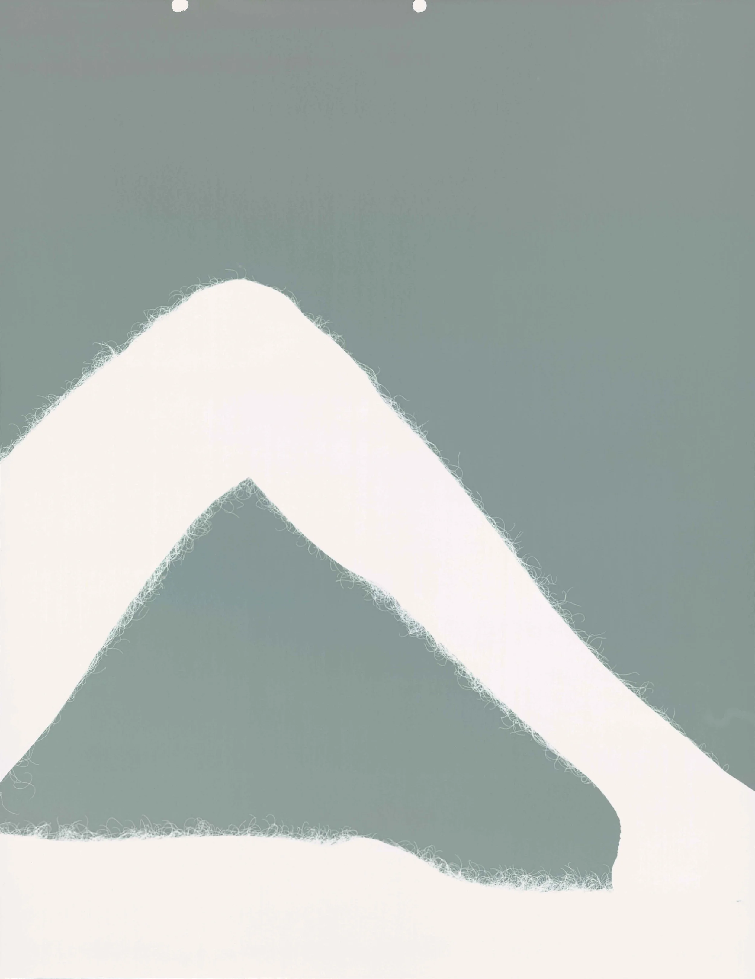 When Colours Return Home to Light IX, 2024
Photogram enlarger silver print
74.2 x 57.8 cm
29 3/16 x 22 3/4 inches