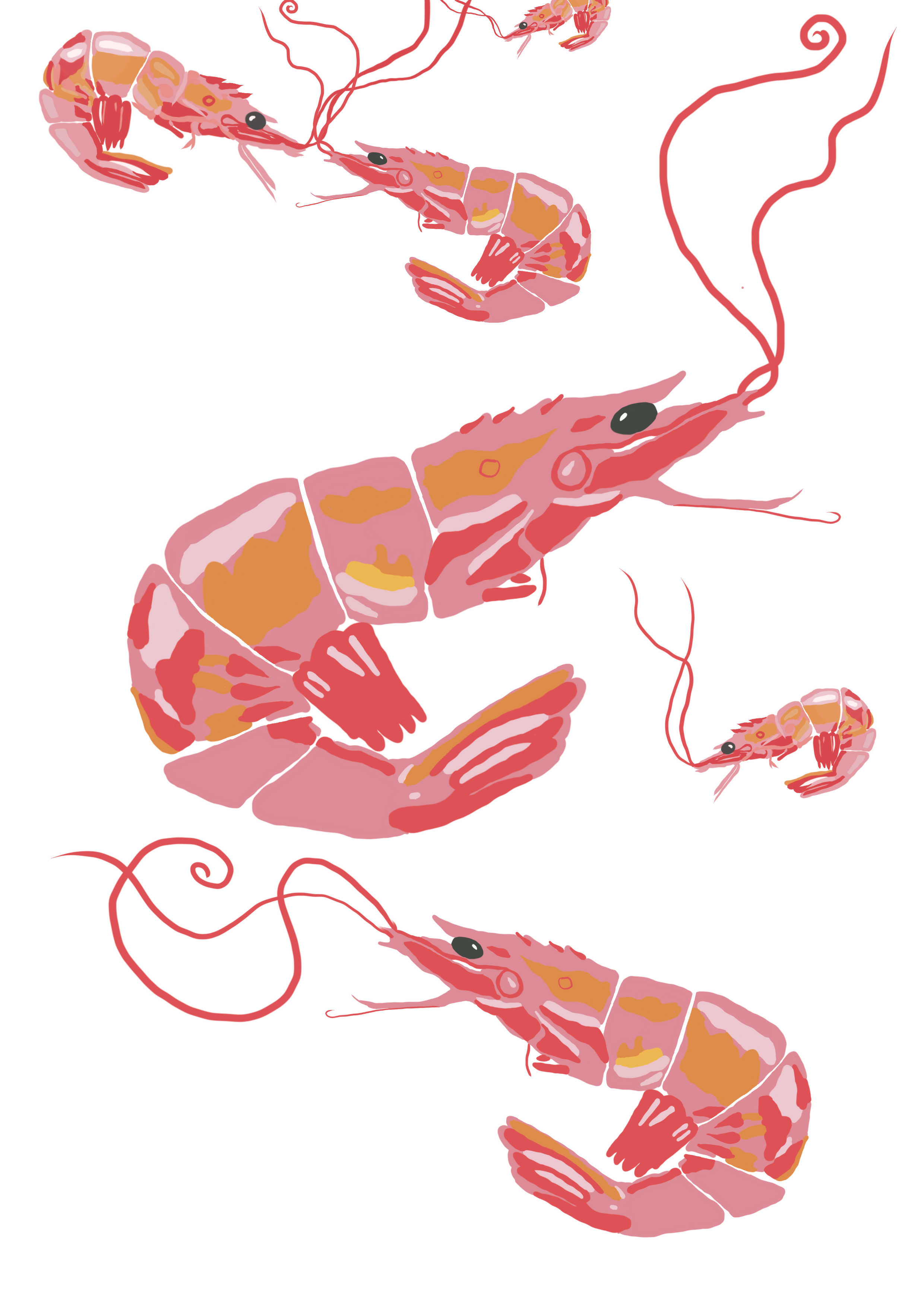 Untitled_Artwork 3 copy.png