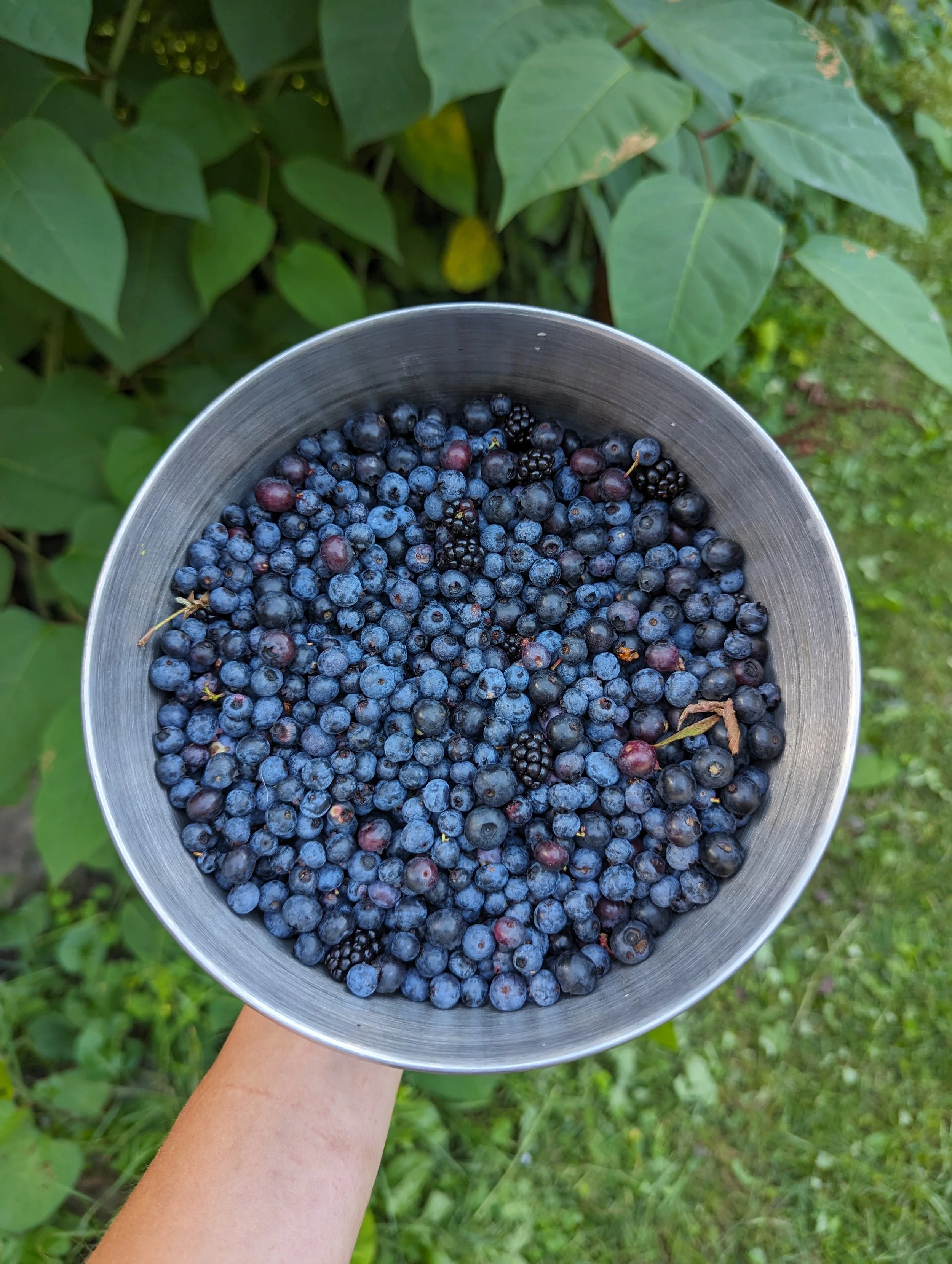 How to preserve the summer harvest - easy ways to freeze, dry and store summer produce.