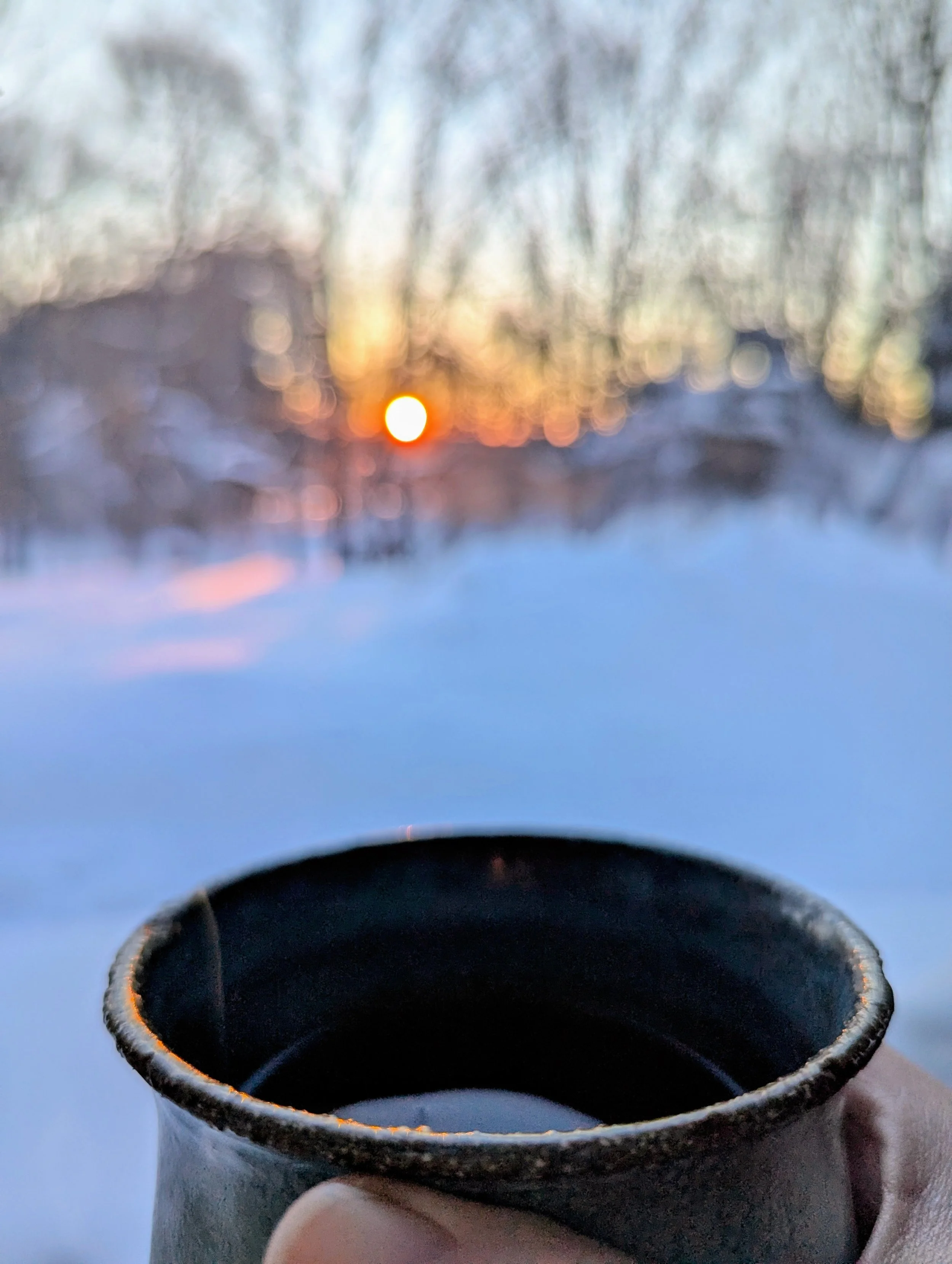 How Your Circadian Rhythm  Shapes Digestion