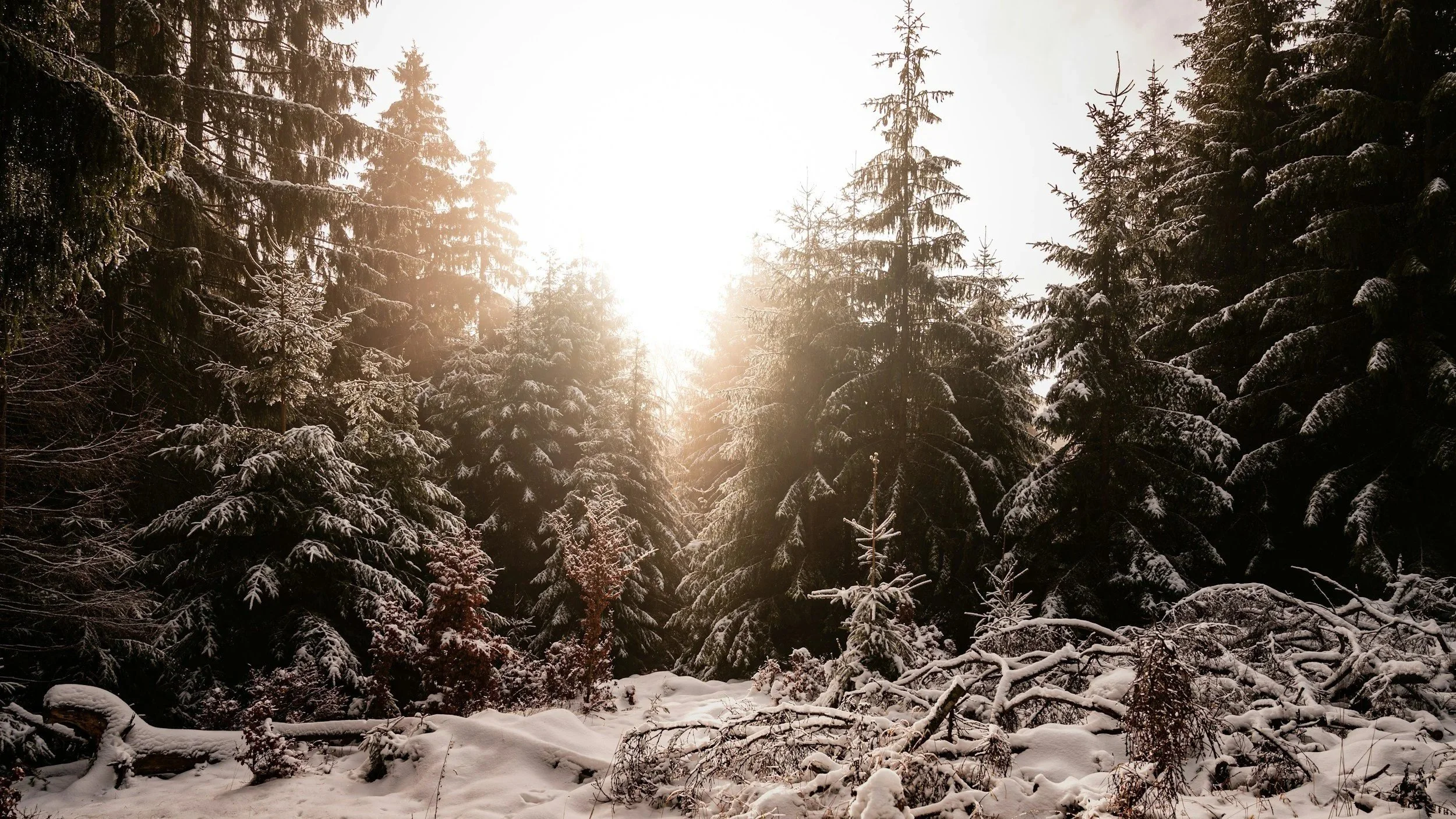 Habits over goals. The sustainable way to make changes in 2026.