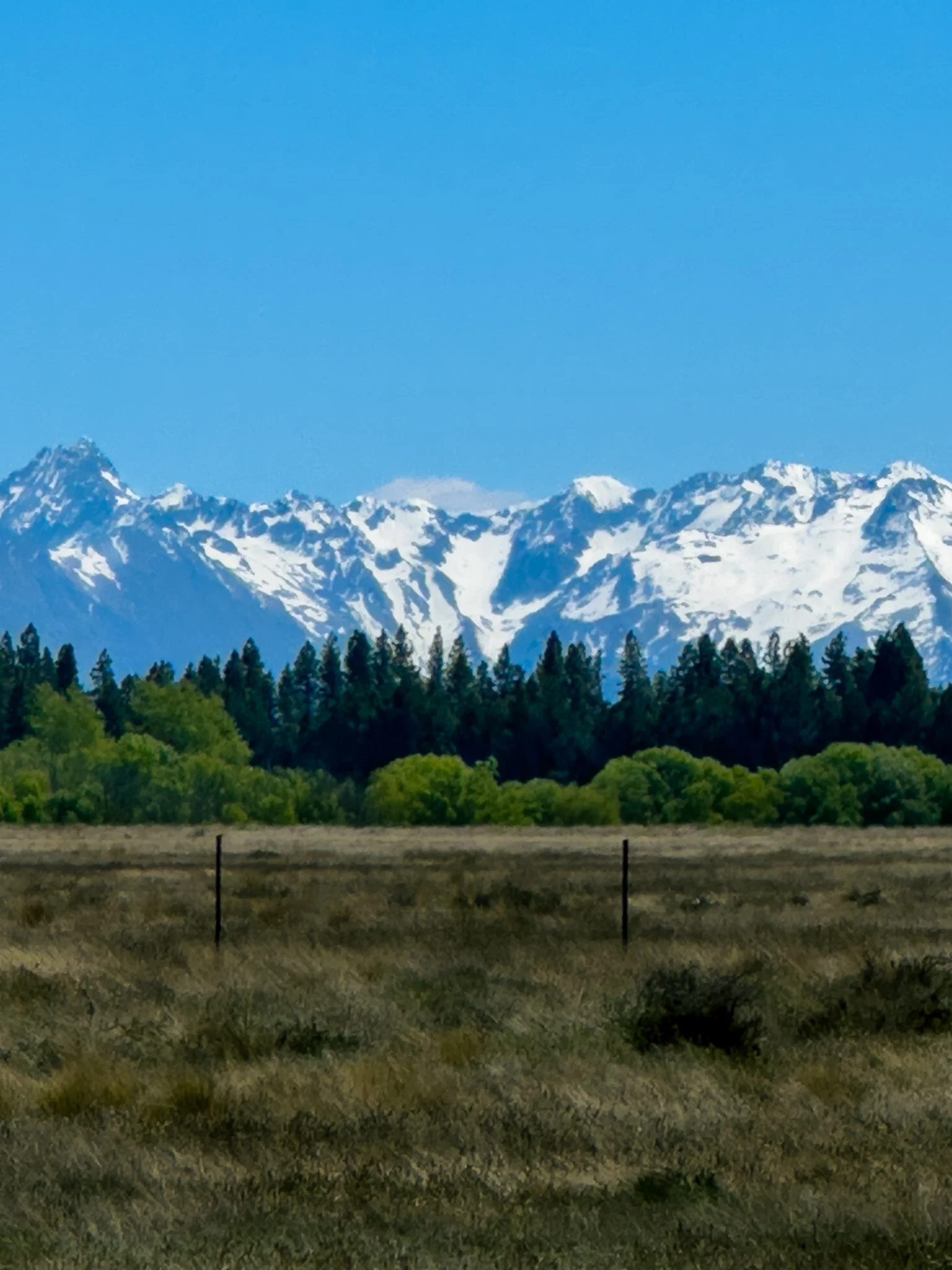 Snow capped mountains