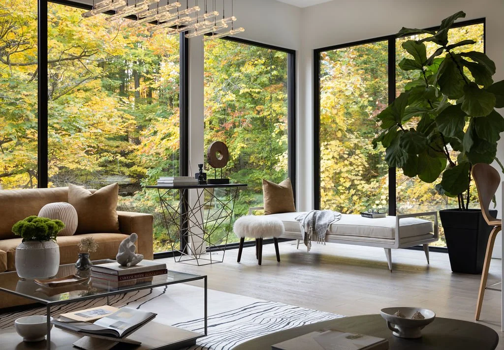 Glasshouse_JackieGlass_BrunoBelli-2.jpg