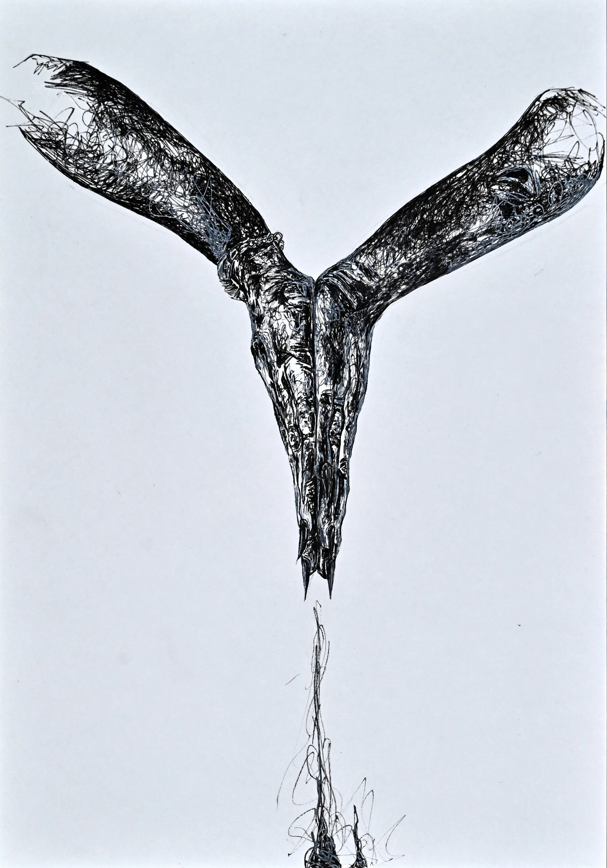 Dané - Dessin 21x29,7cm