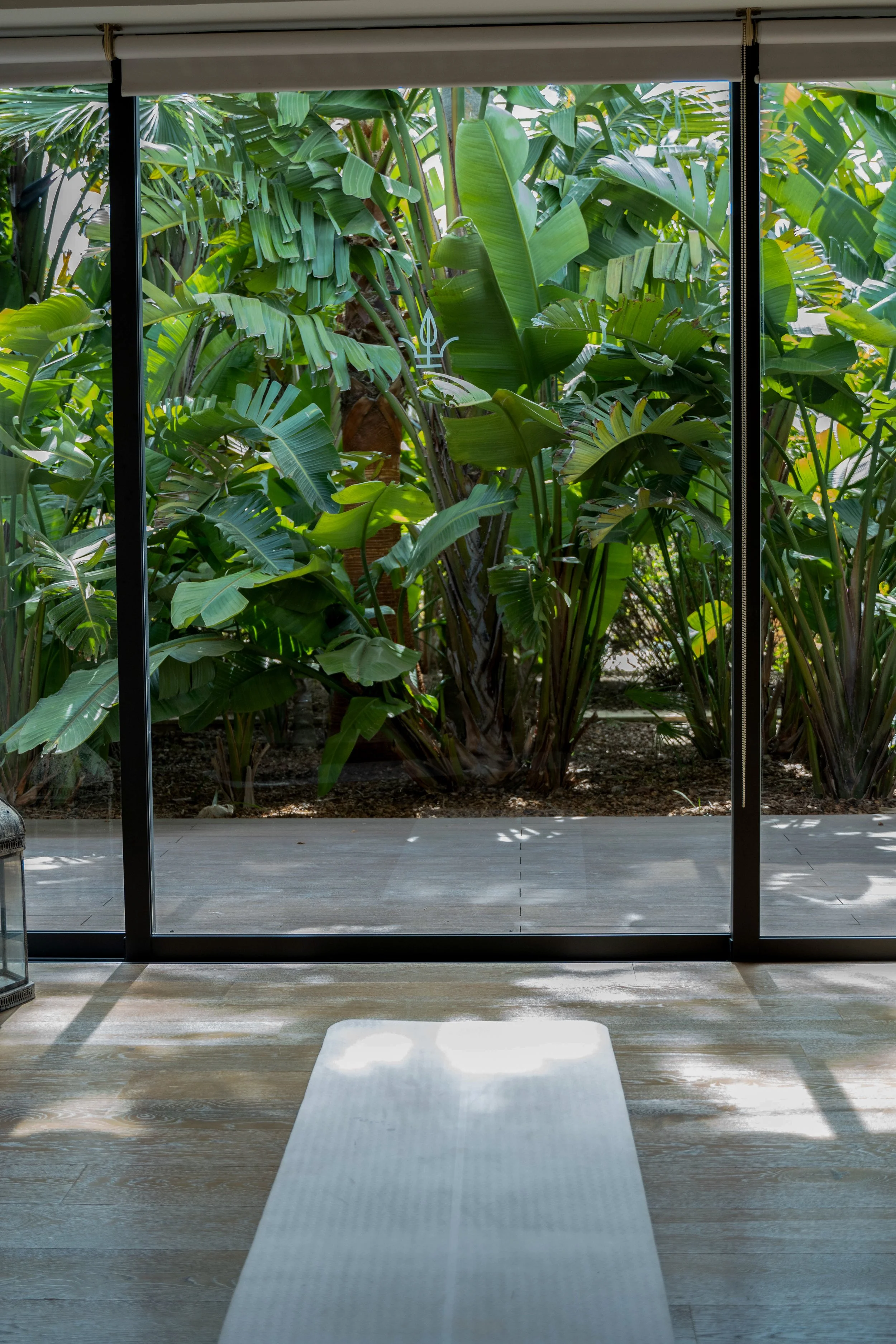 Inderside af et rum med trægulv og store glasdøre, der vender ud til en grøn have med store grønne planter.