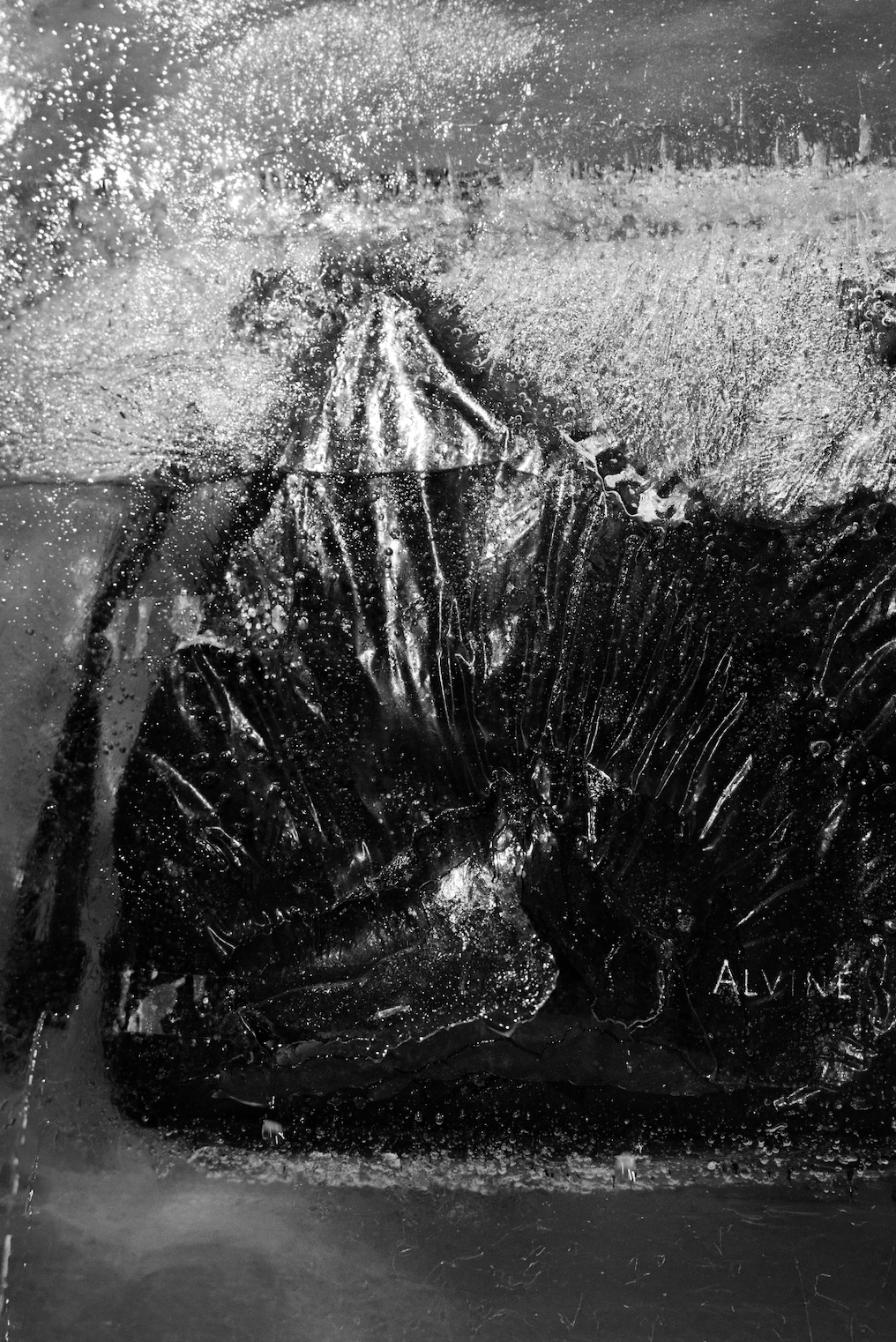 En sort taske, der er indkapslet i is, med iskrystaller og vandperler på overfladen.