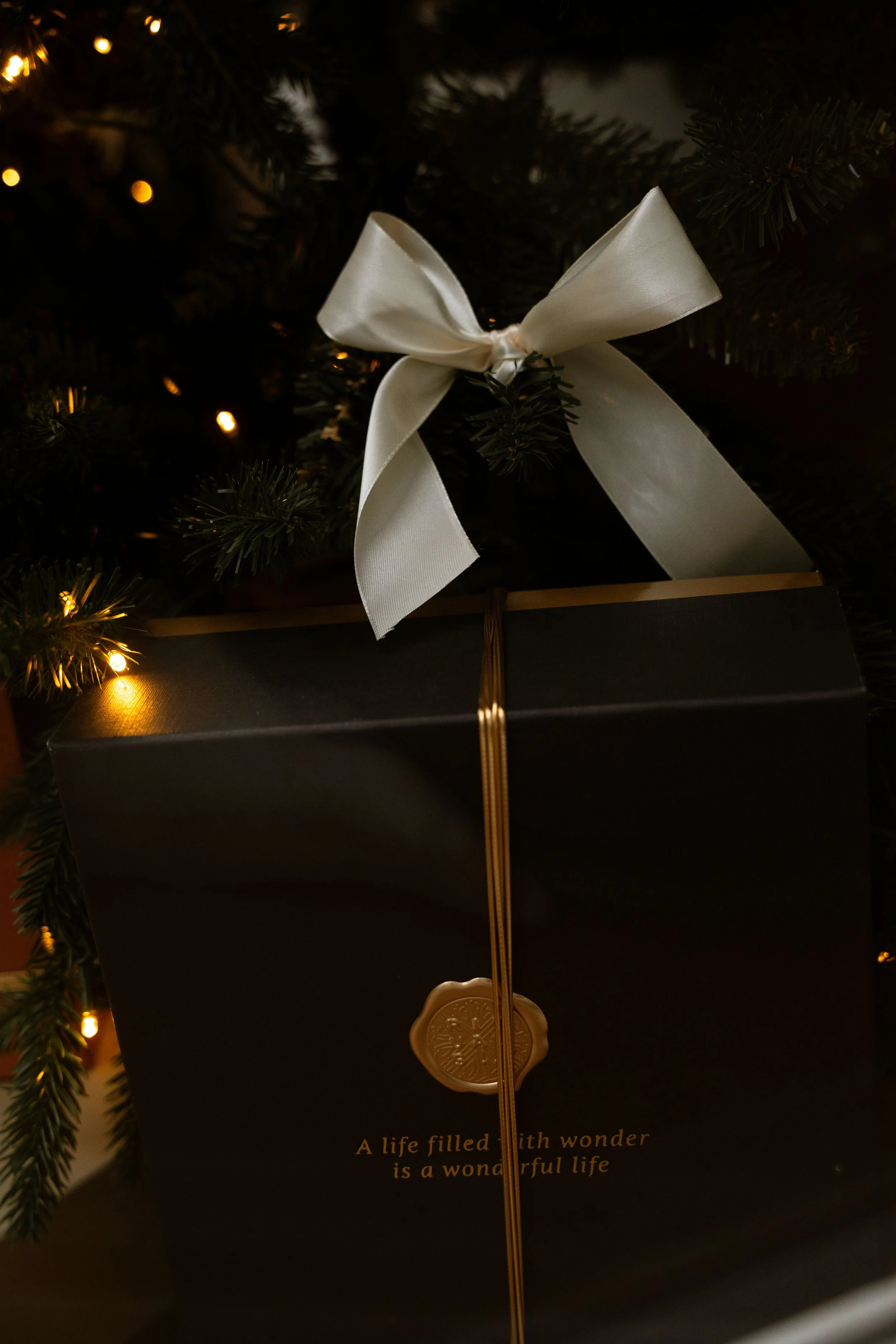 Et gavepapir pakket med tekst, der siger 'A life filled with wonder is a wonderful life', bundet med guldfarvet bånd og hængende med en gylden dekorativ knap, placeret under en juletræsgren med lys.