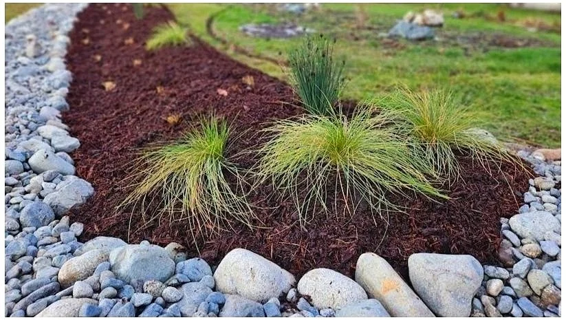 Landscape design with mulched garden bed, ornamental grasses, and stone border.