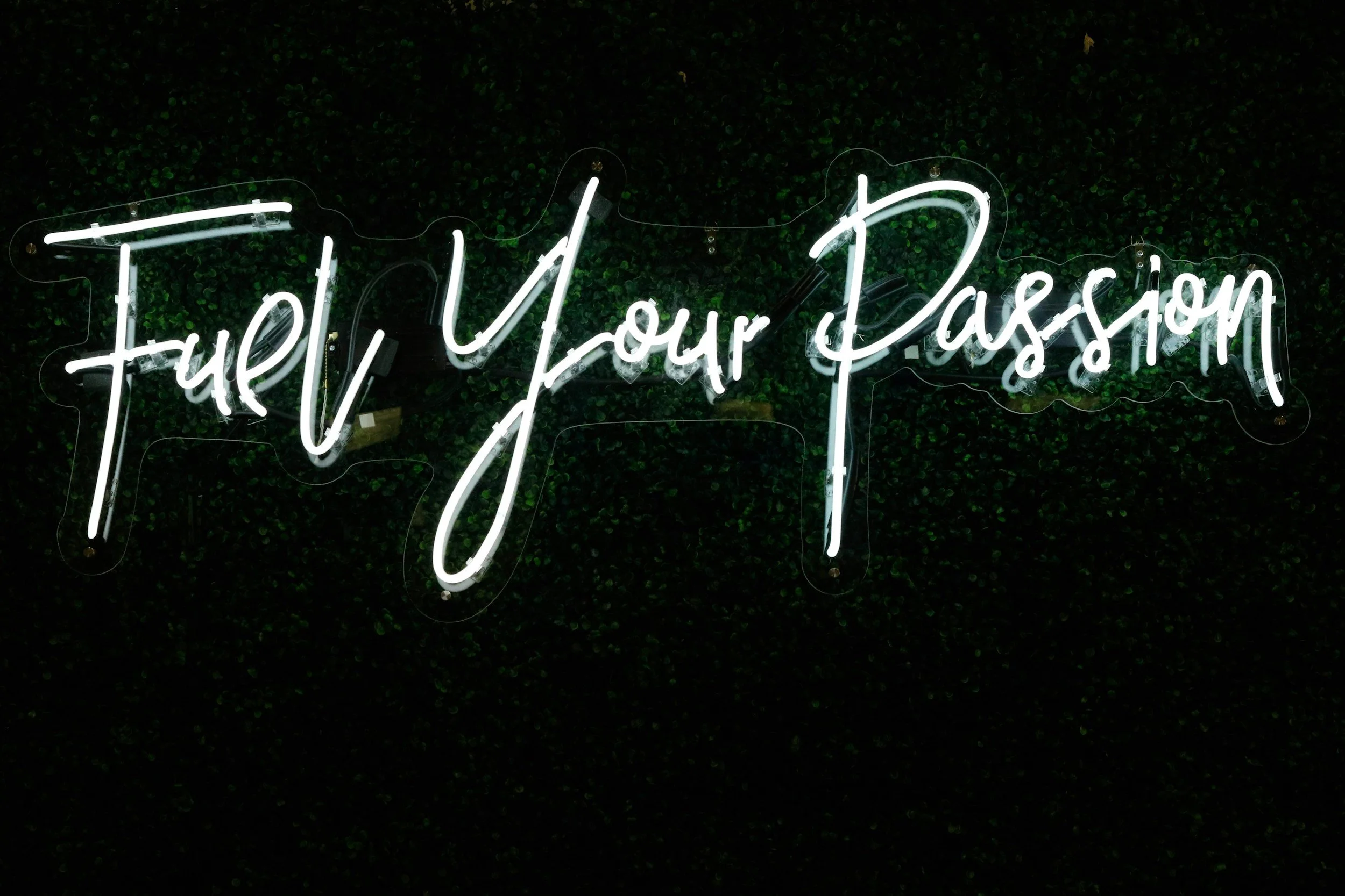 Don’t wait for passion, create it.