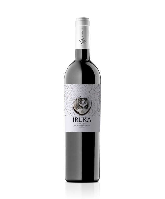 Iruka+eCommerce-squashed.png