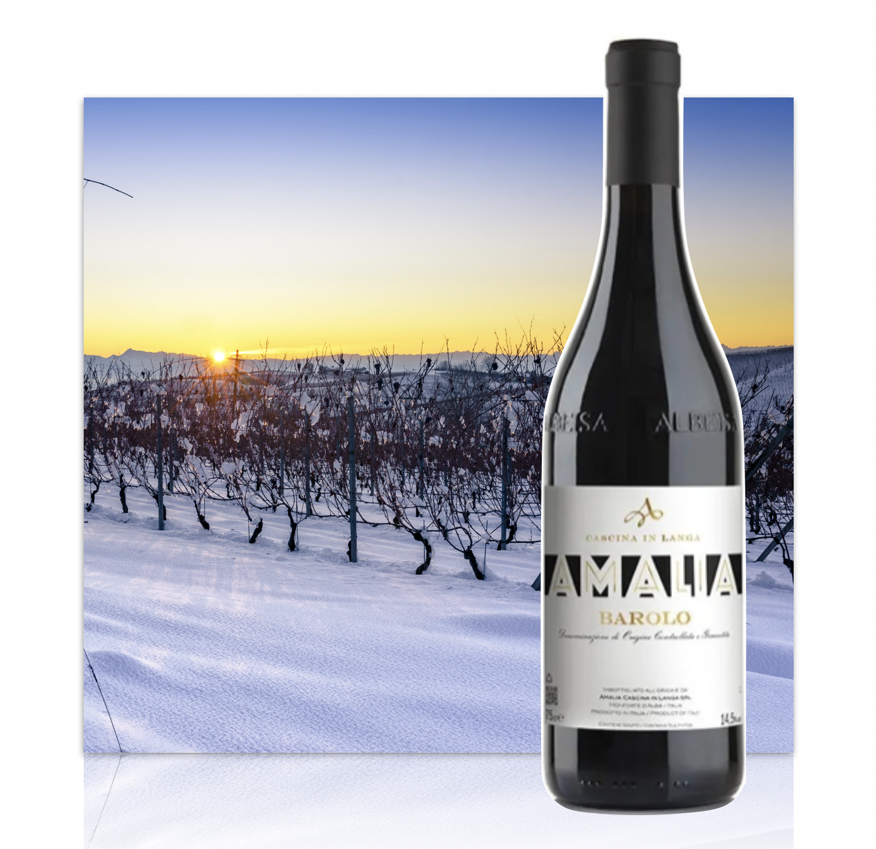 A bottle of Amalia Barolo wine in front of a snowy vineyard landscape at sunset.