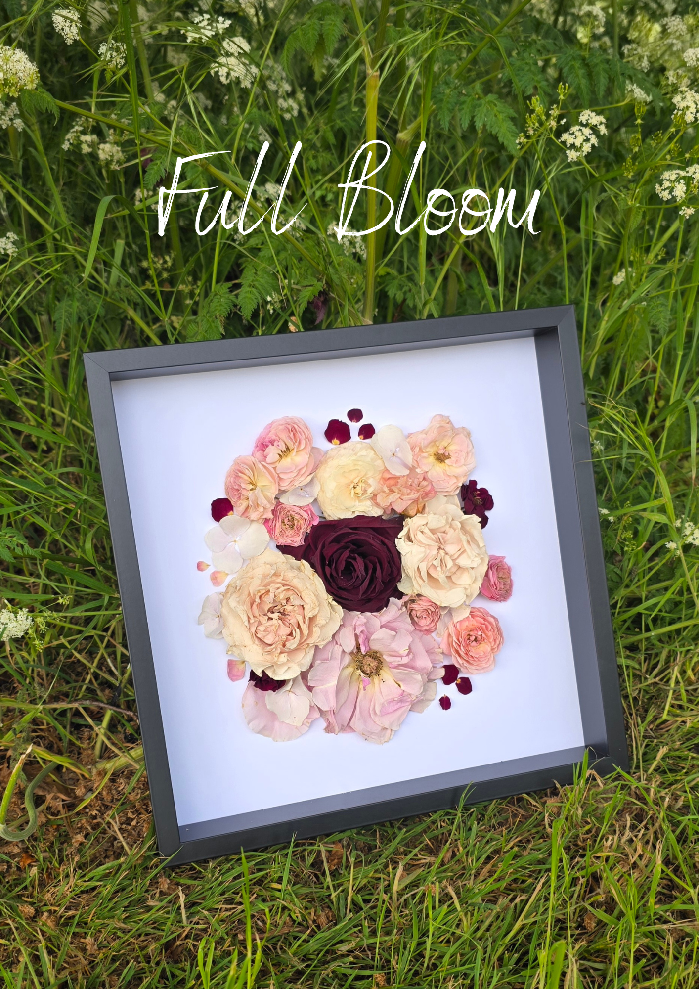Medium Full Bloom.png