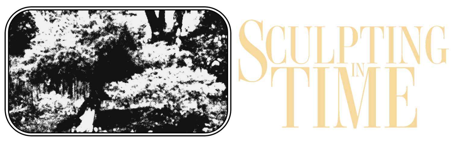 SCULPTING IN TIME