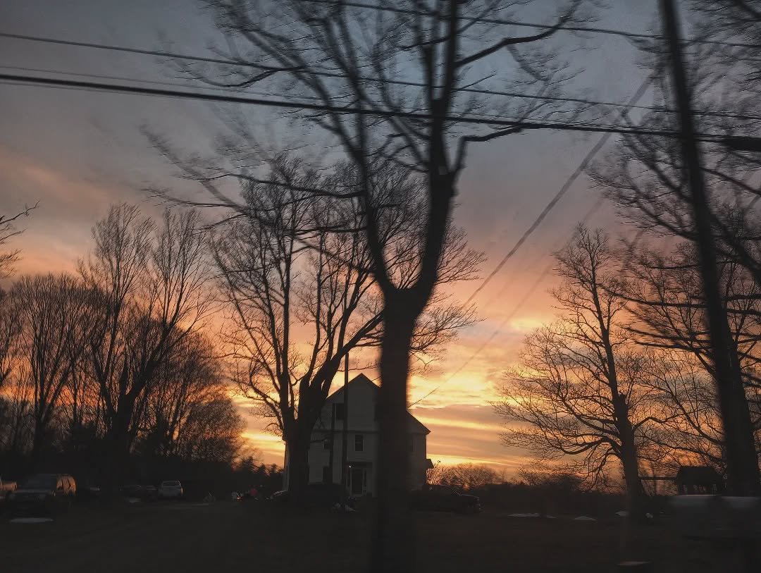 OUR MOCKINGBIRD KINGDOM