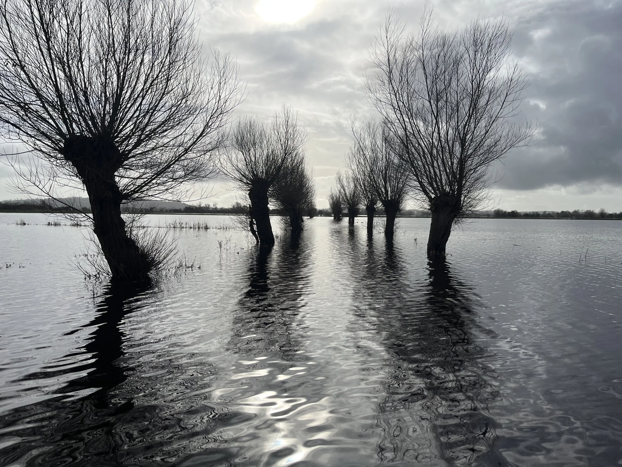 Floods in the Levels