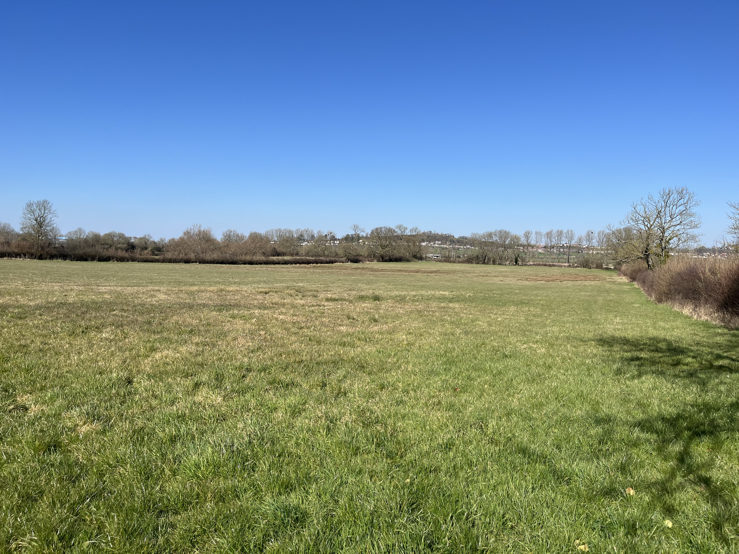 Fields in Spring 2025