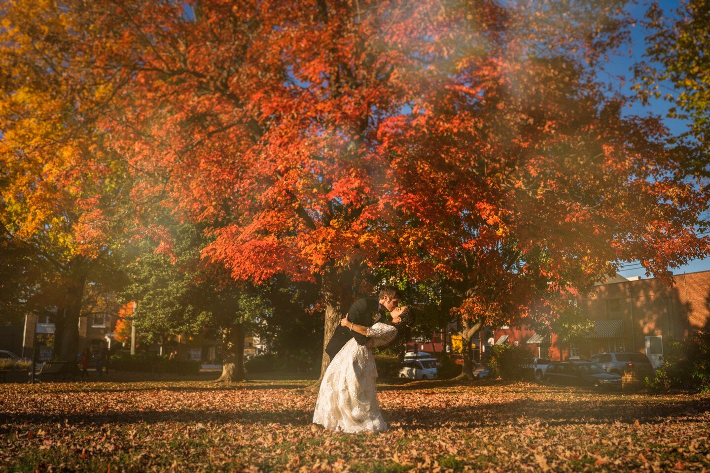 A small wedding in Fredericksburg.
Not many activities but full of loves and cares. It was a perfect time to get the fall foliage.

#weddingphoto #virginiawedding #dmvwedding #fallwedding #restaurantwedding #weddingcake #brideandgroom
