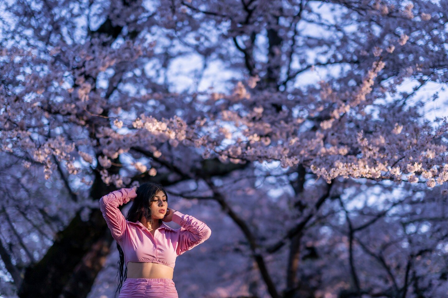 Cherry Blossom !!

This is a great place for all kind of photos. Many people end up going to Tidal Basin but I prefer to come this location because it's comparatively less crowded(disclaimer: when I found out this place about 10 years ago, there were