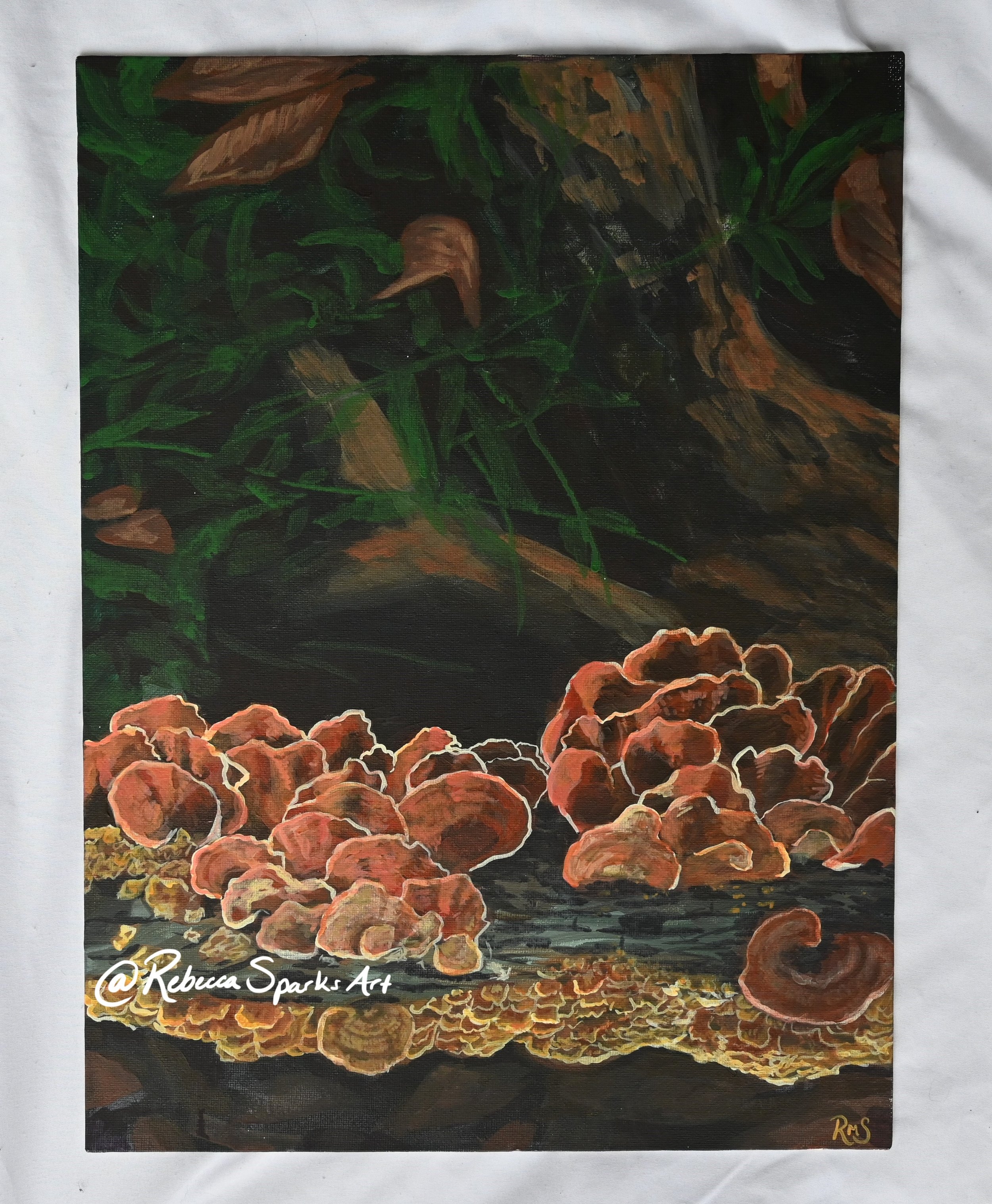 DSC_1618_Watermarked.jpg