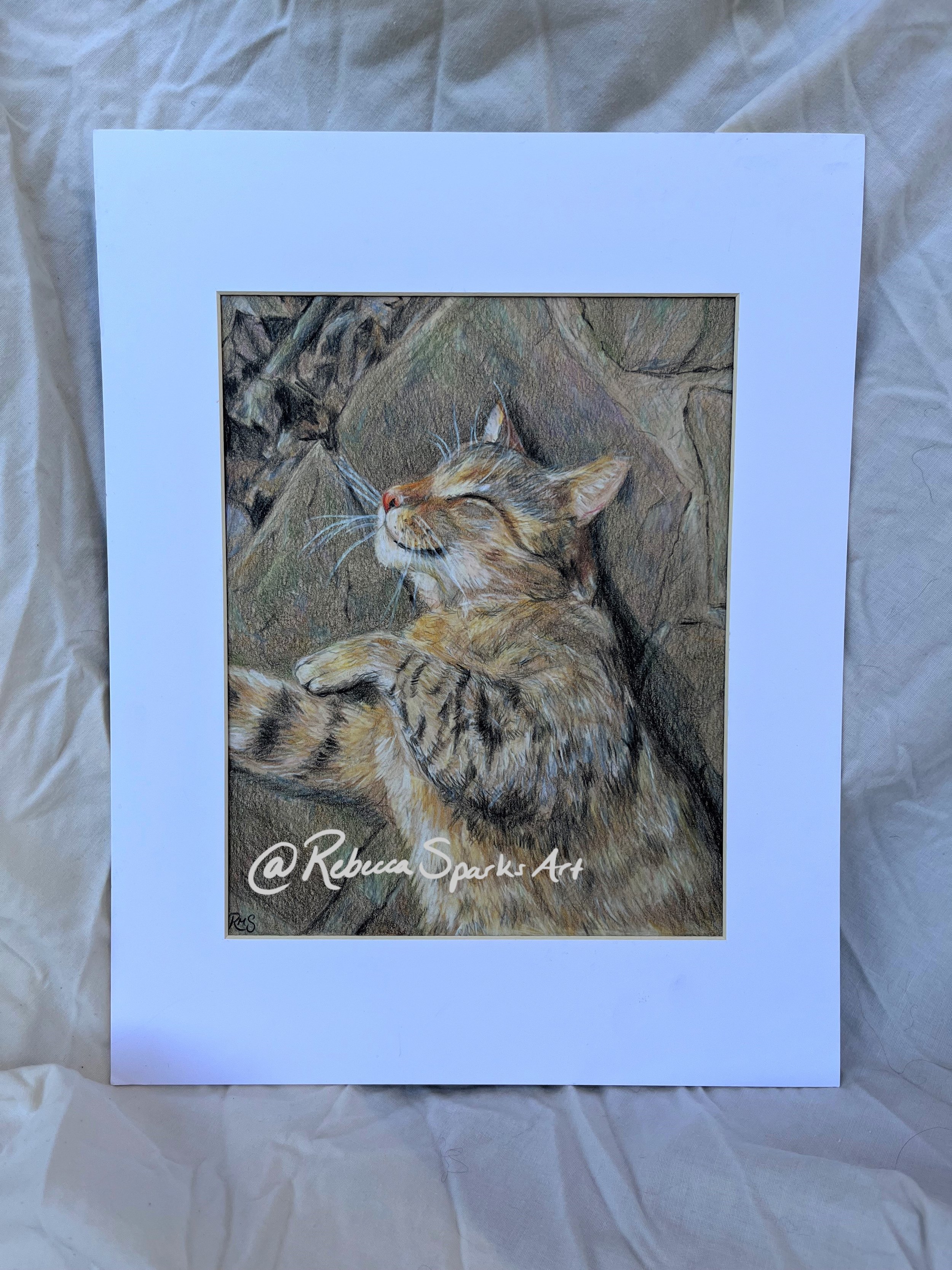 Sir Galahad - 8"x10" colored pencil on toned multimedia paper
