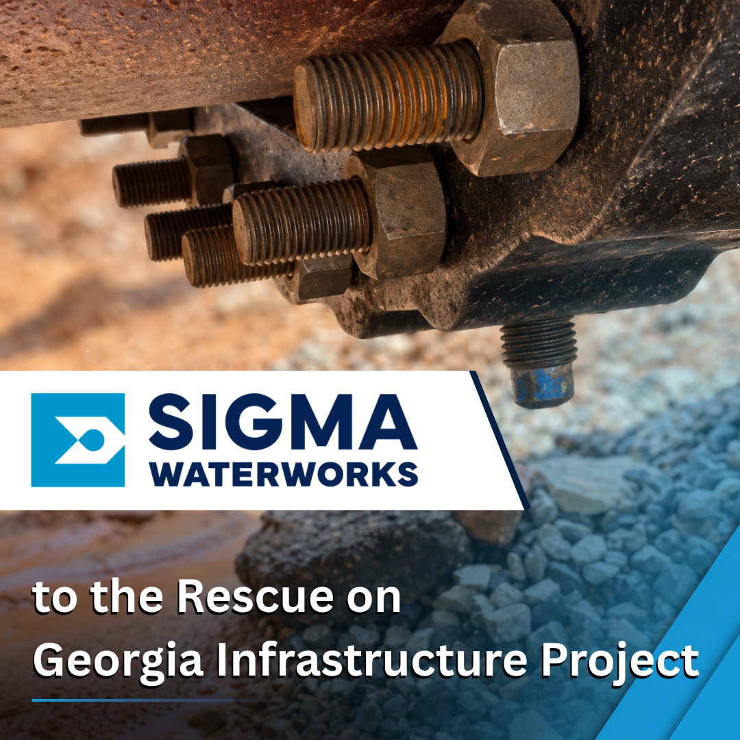 SIGMA to the Rescue on Georgia Infrastructure Project