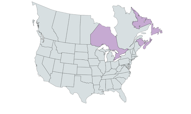 Regional Teams — Sigma Corporation