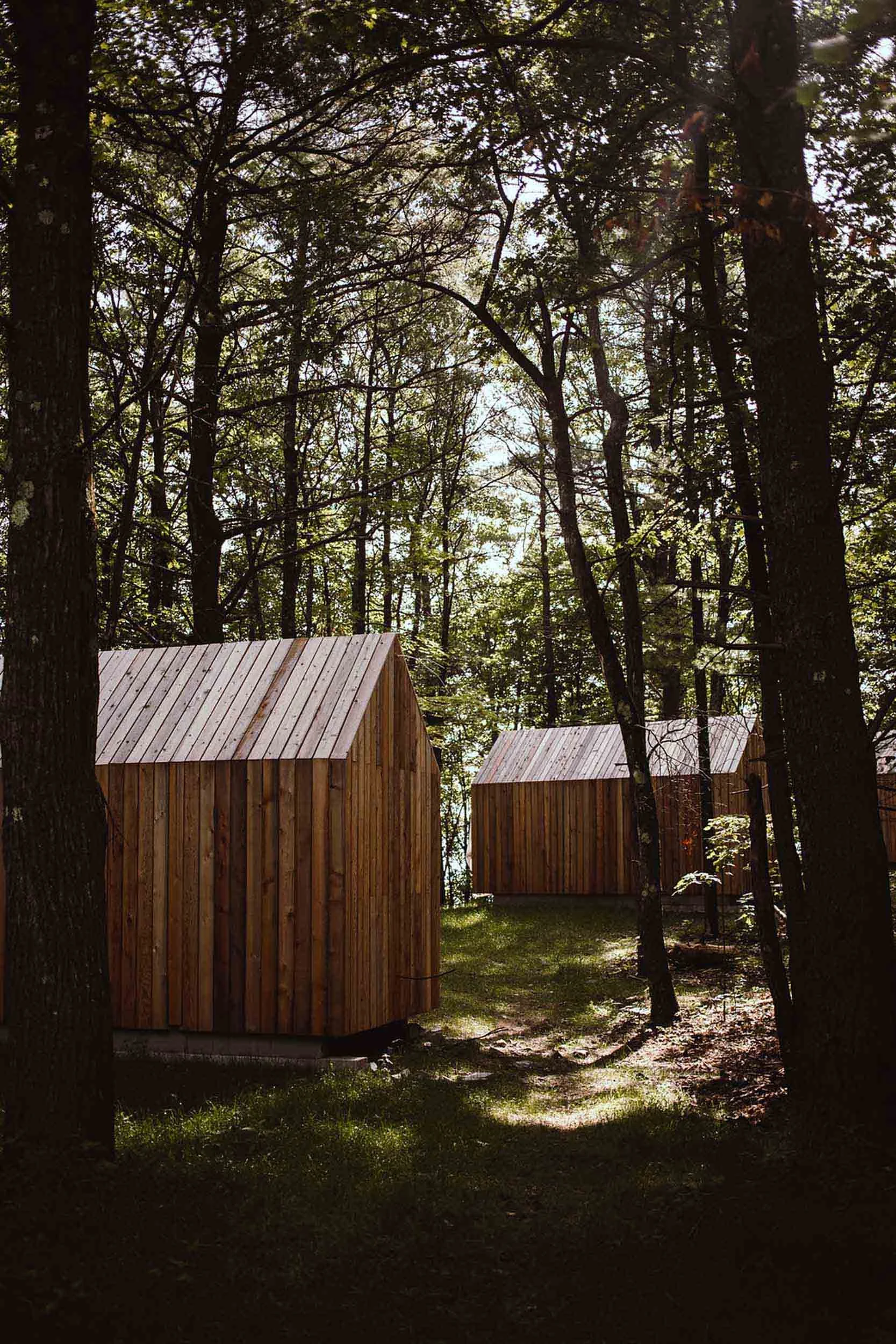 Modern Cabins in the forest_Finn Rauen Photography-3007.jpg