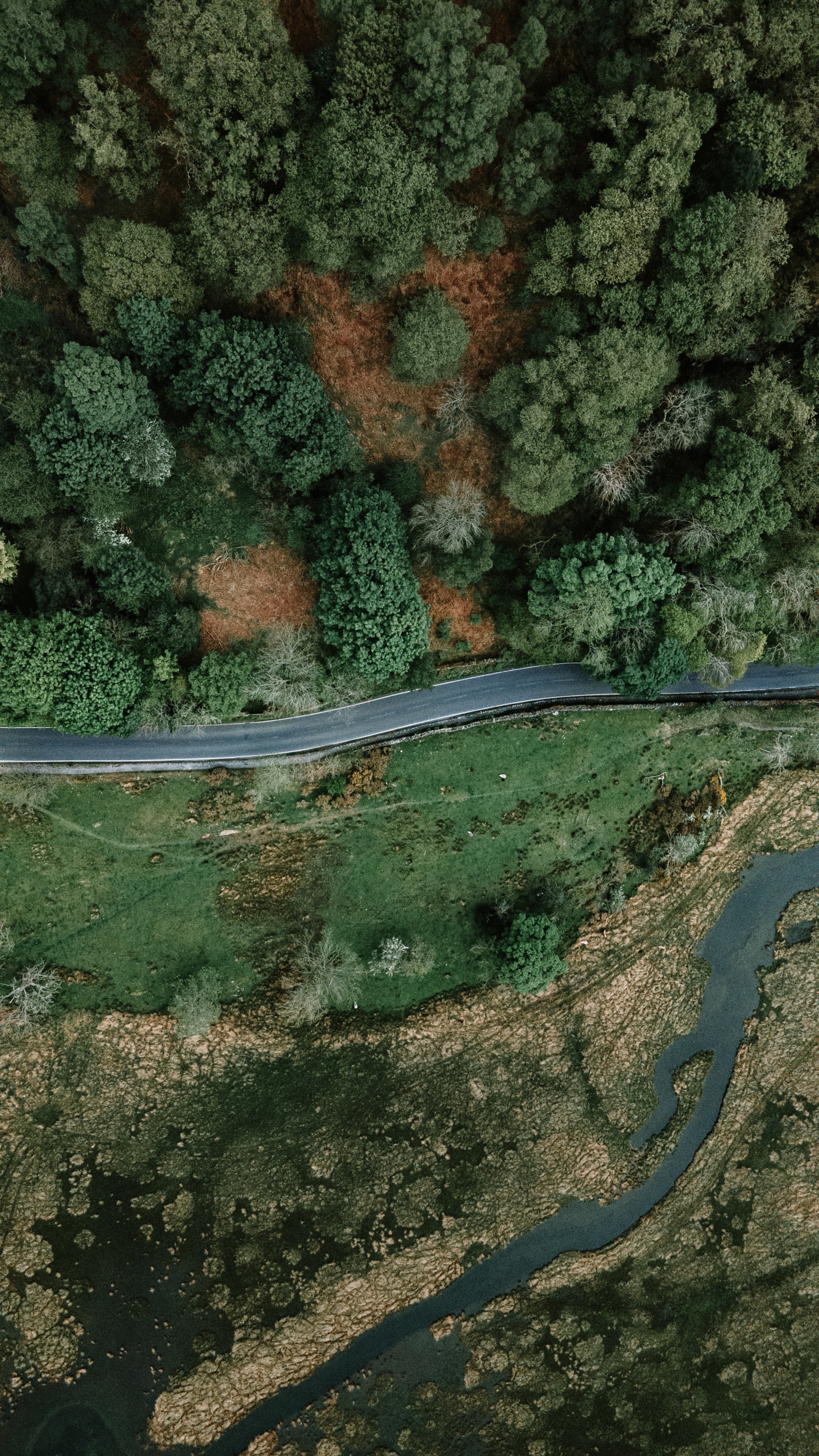 Down the Road