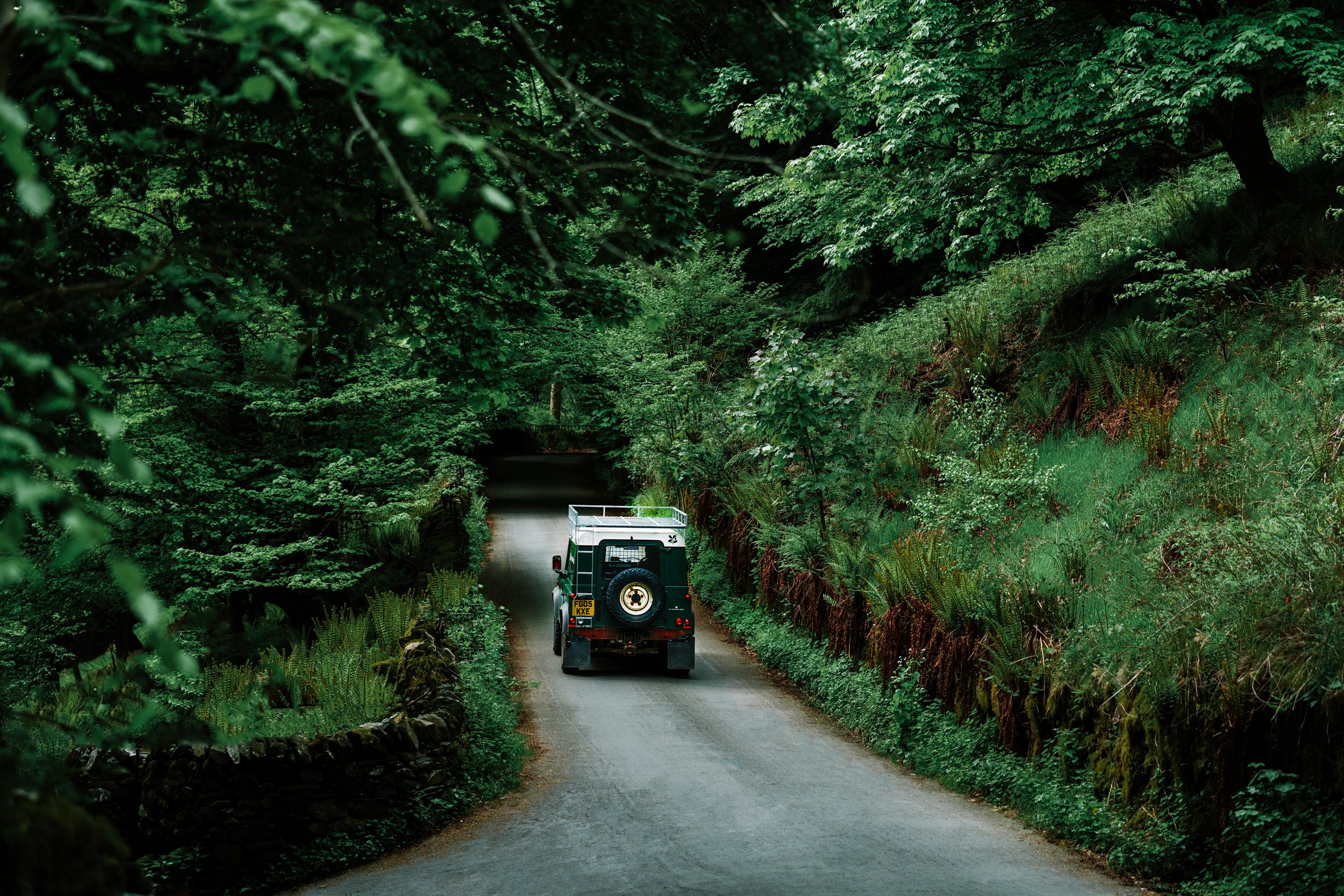 Into the Jeep