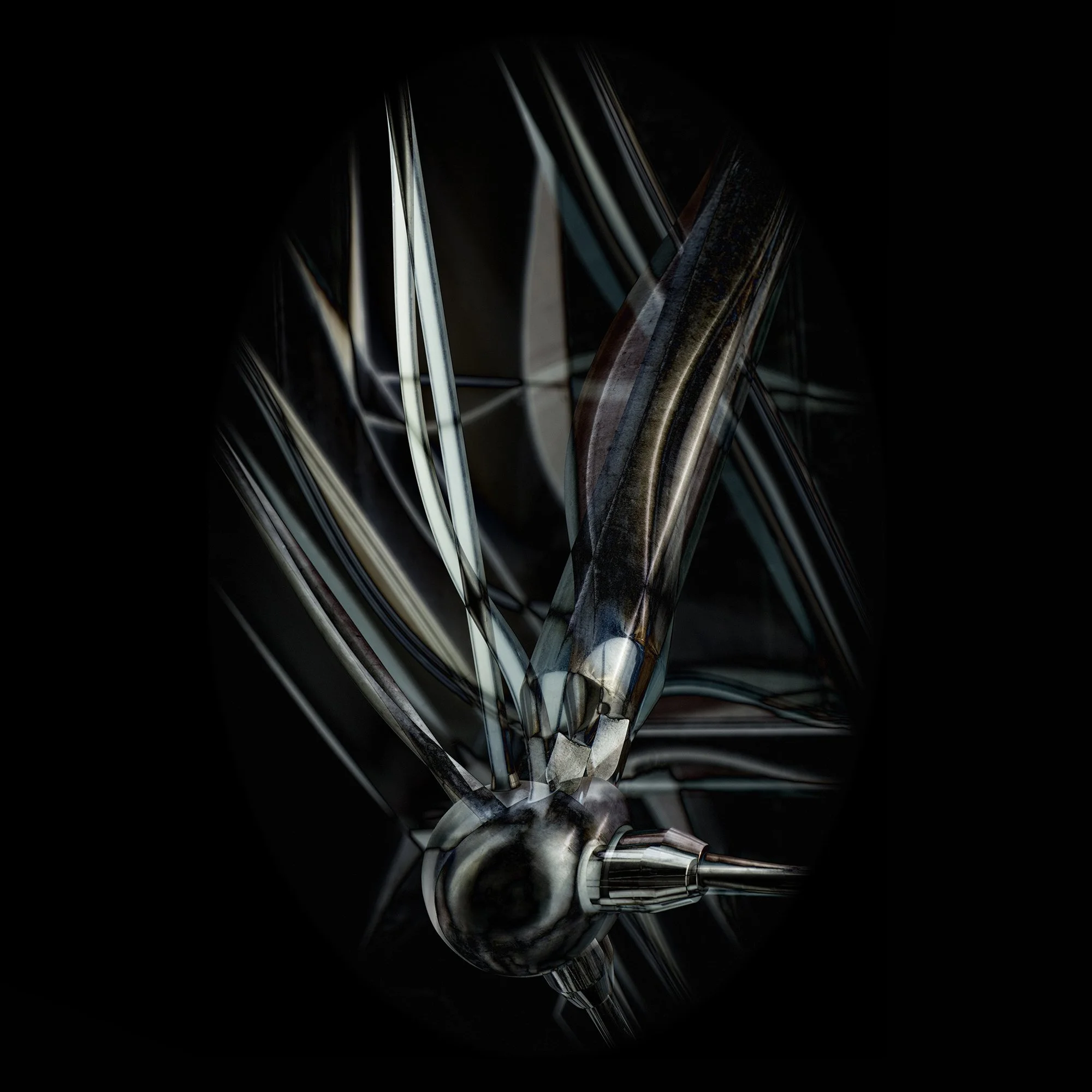Elegant Lines 3