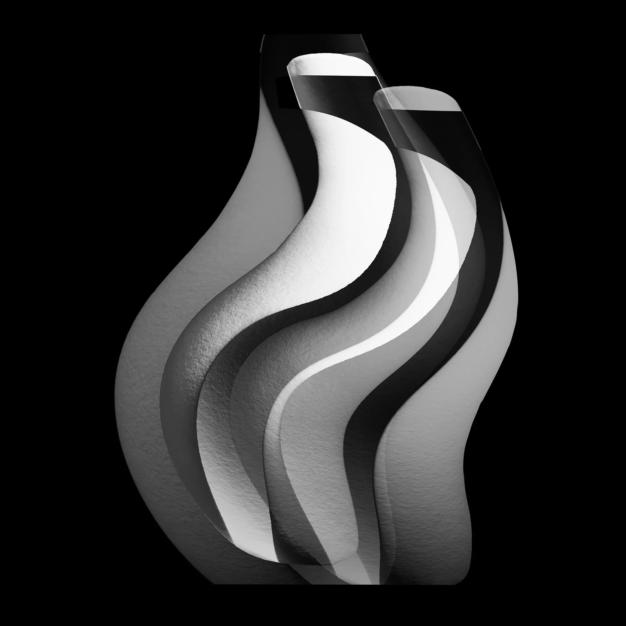 Black & White Variations 1