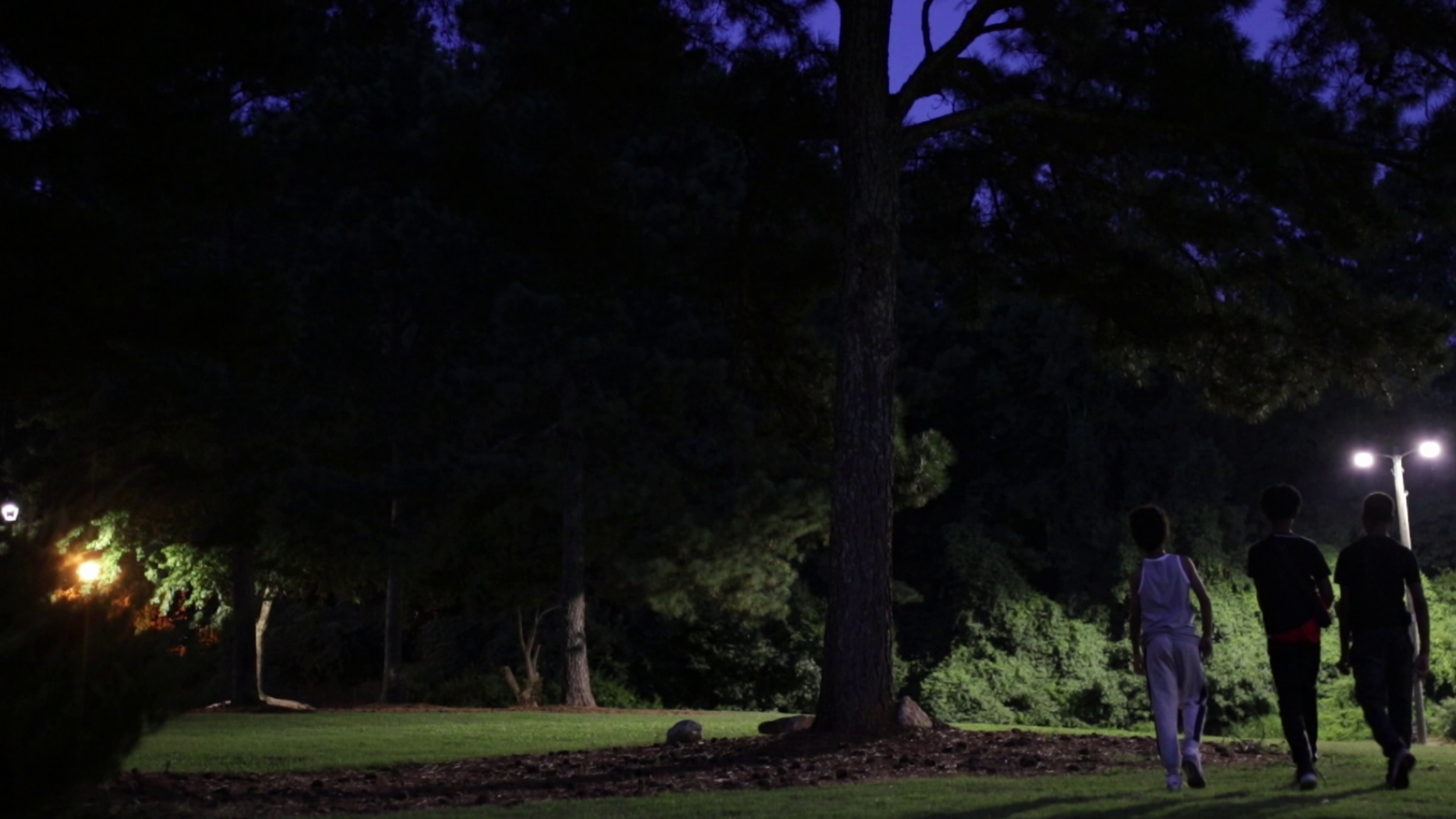 vlcsnap-2023-03-22-11h47m18s283.png