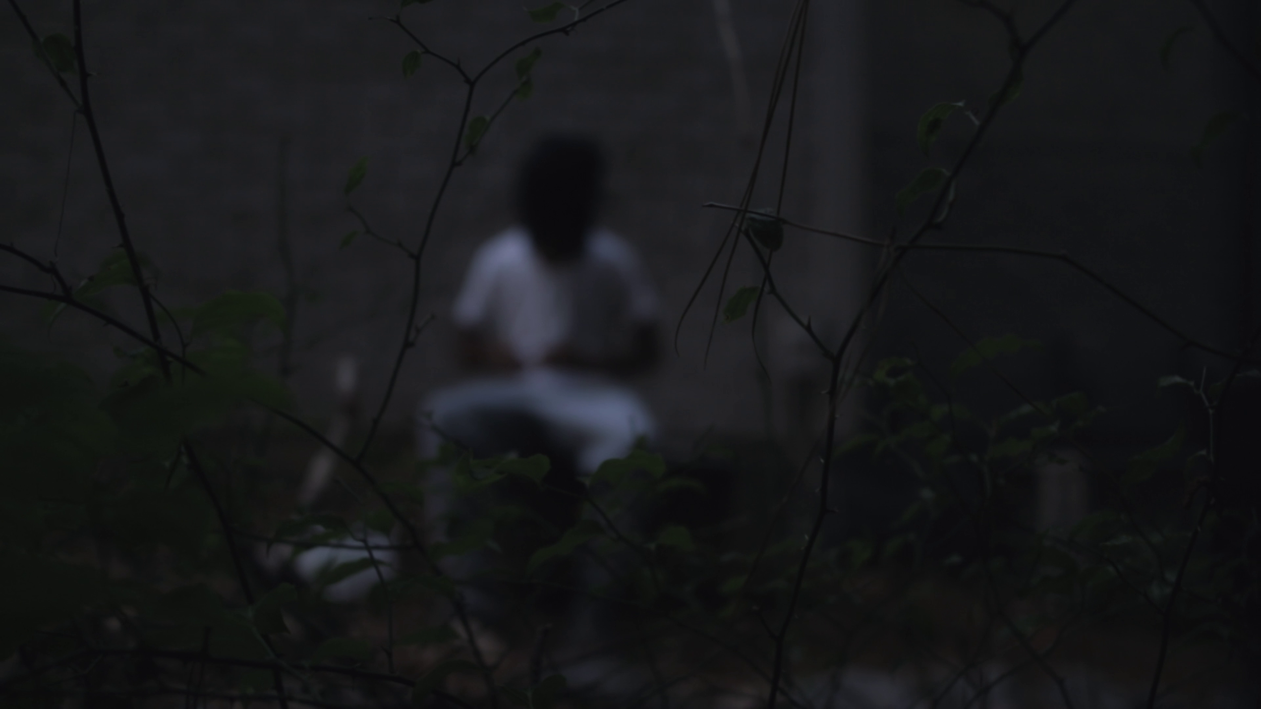 vlcsnap-2023-03-22-11h58m15s461.png