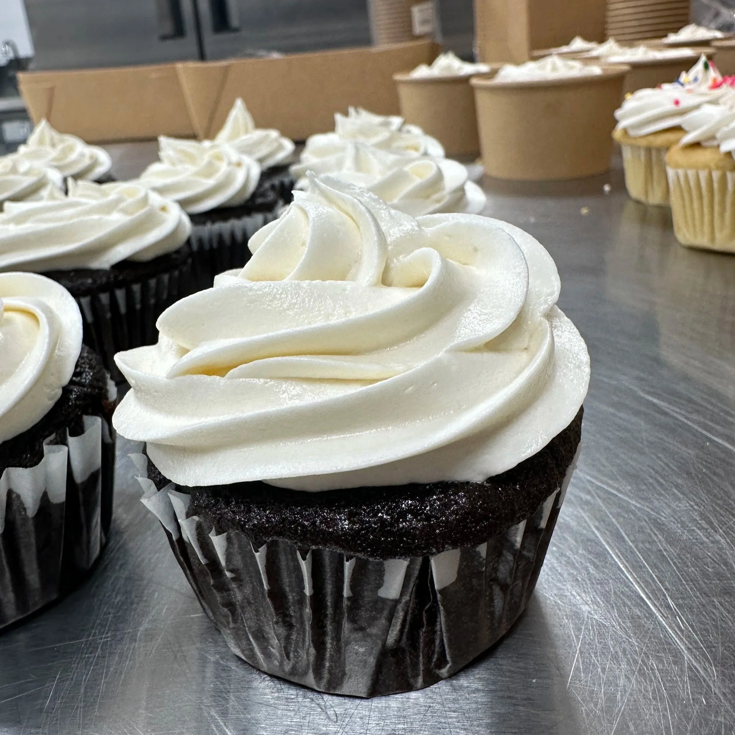 Chocolate+cupcake+no+sprinkle.jpg