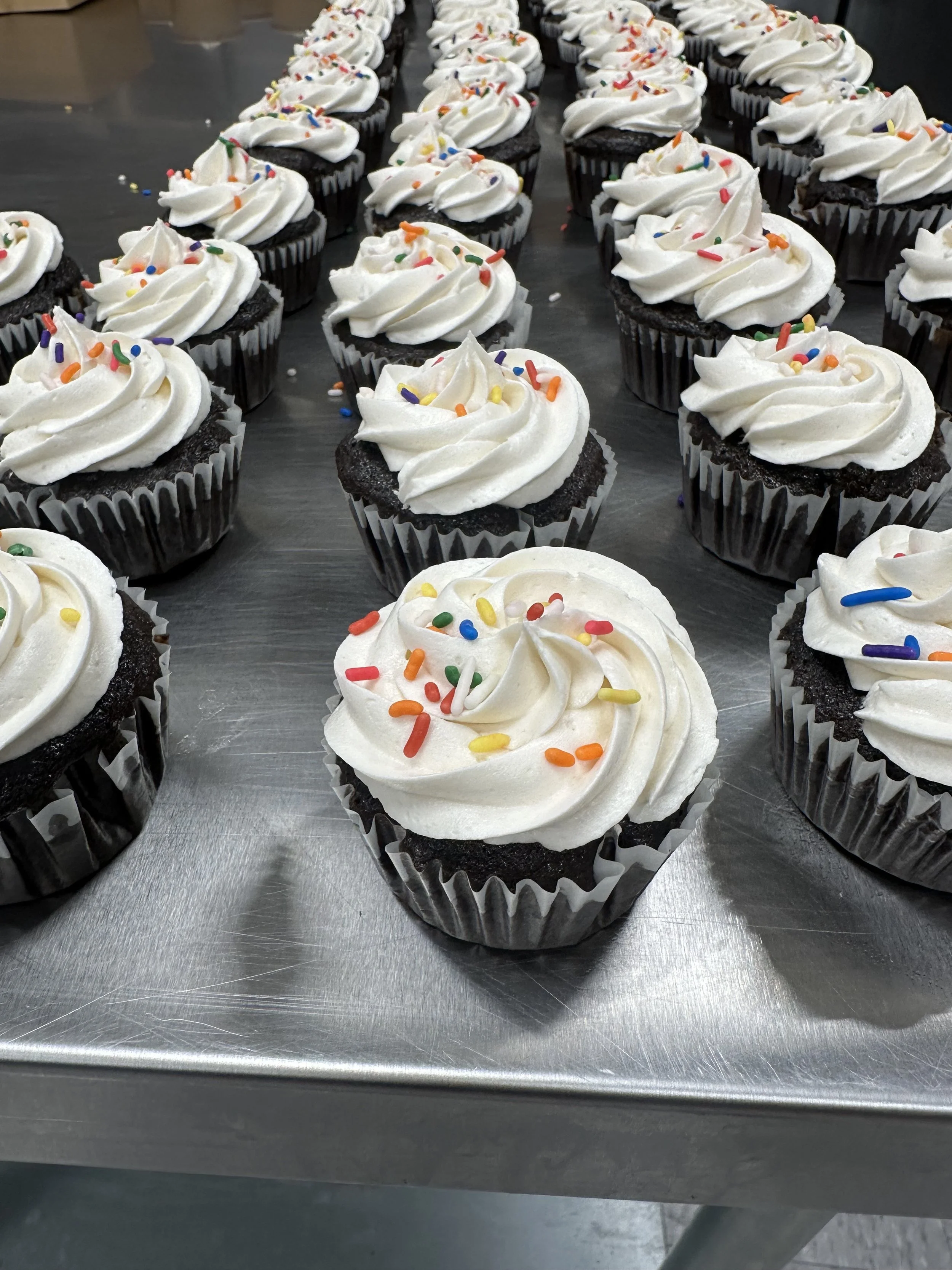 SPR Choc cupcake.jpeg