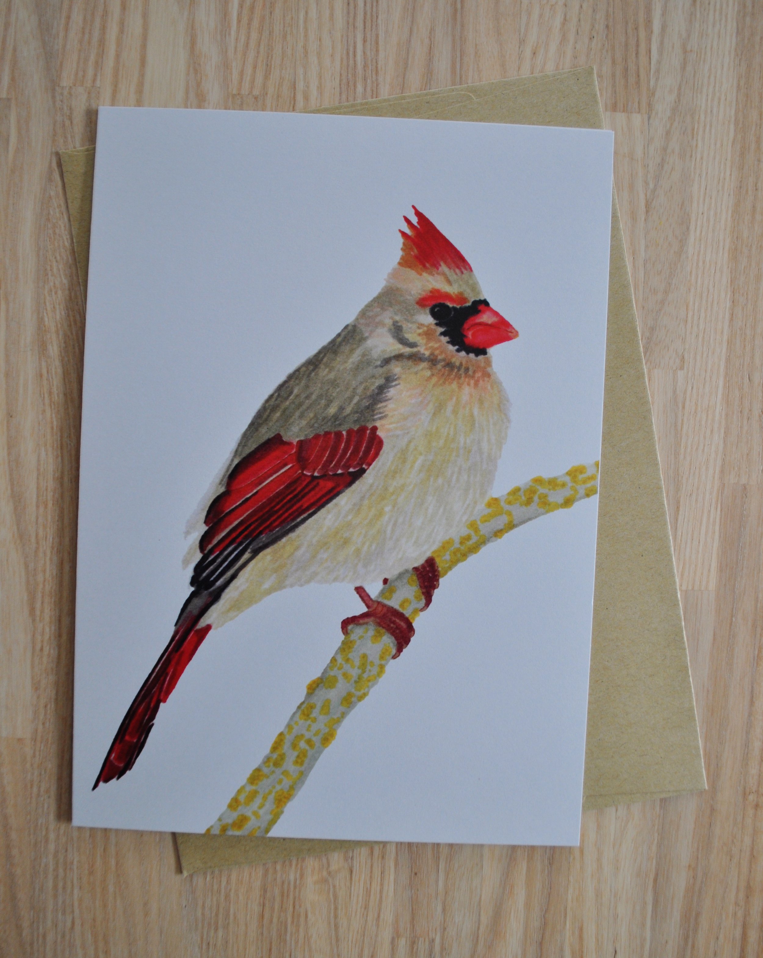 Female cardinal card featuring the Virginia state bird note card.