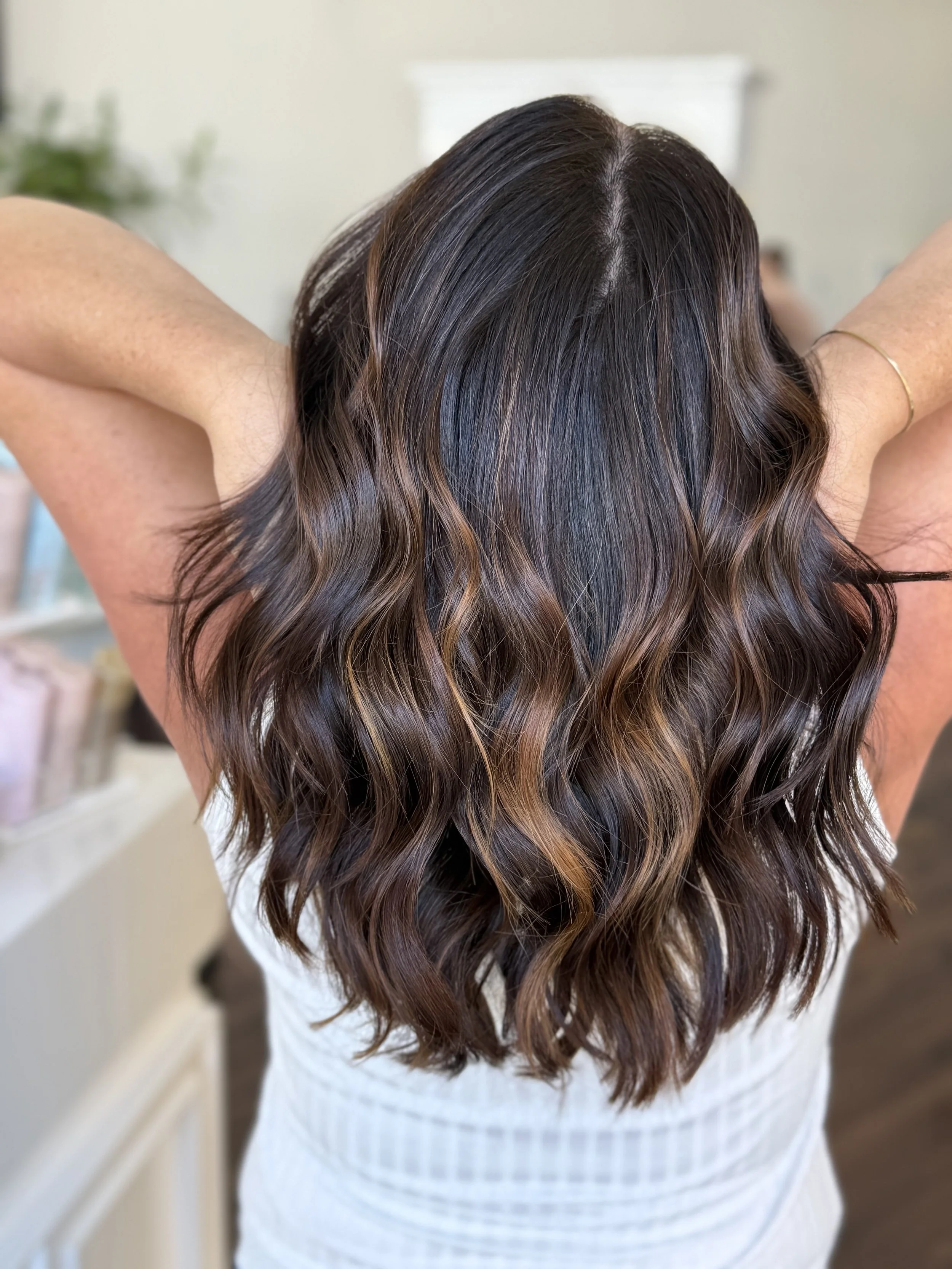 back of the head of a girl with brunette highlighted hair