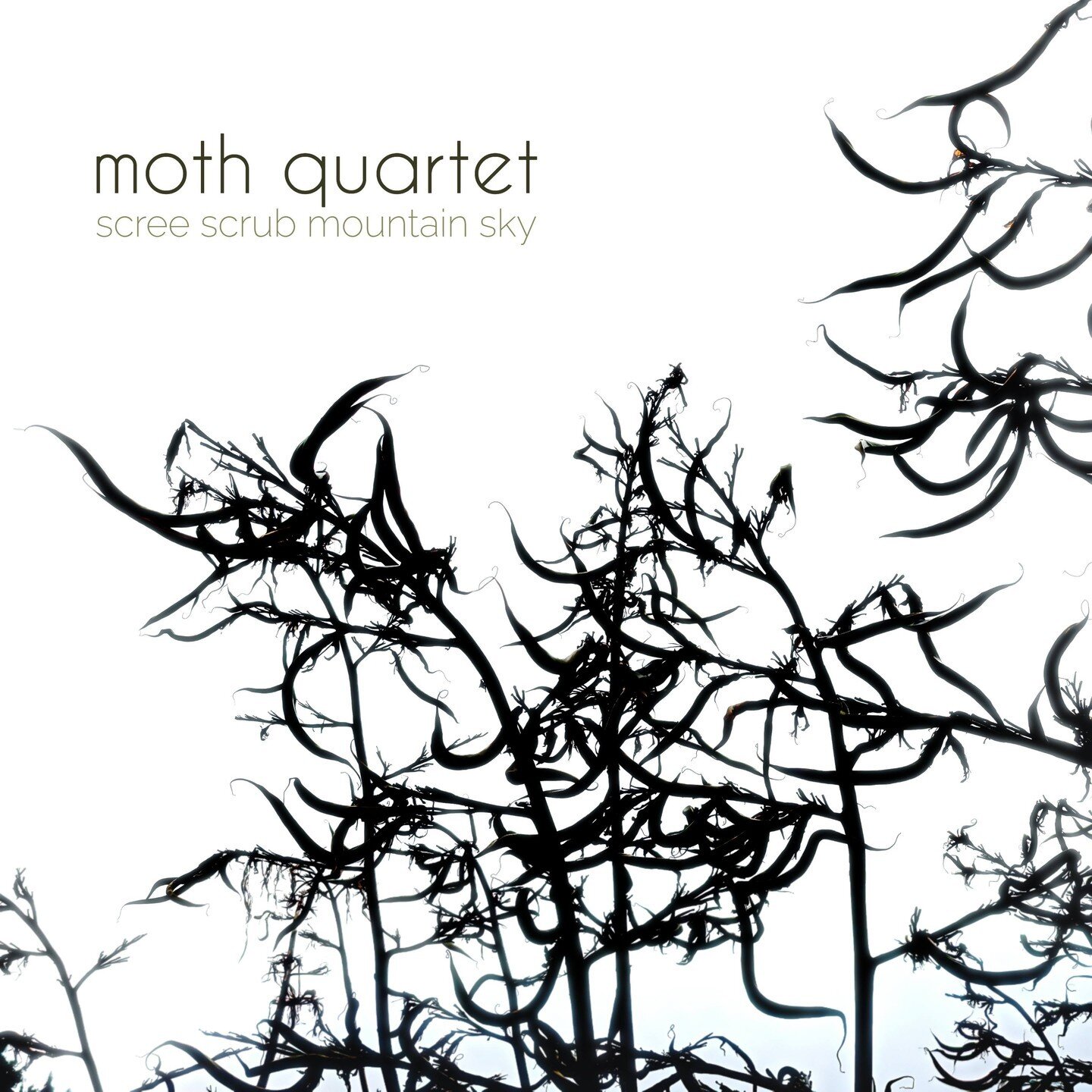 We are delighted to announce the release of SCREE SCRUB MOUNTAIN SKY&mdash;the debut album of New Zealand's @mothquartet. Comprised of Salina Fisher (violin), Tristan Carter (violin), Elliot Vaughan (viola), and Nicholas Denton Protsack (cello), the 