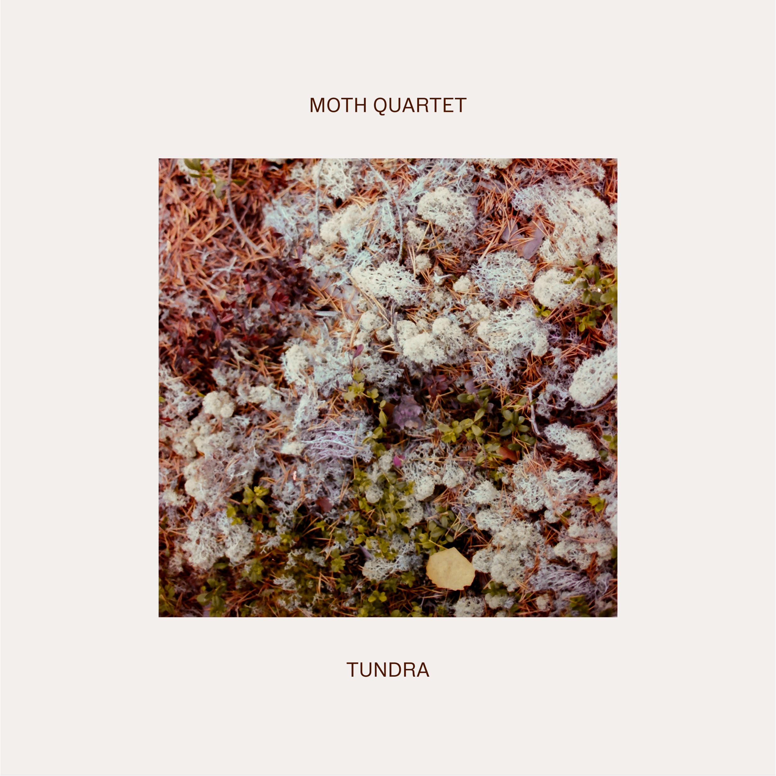 Tundra