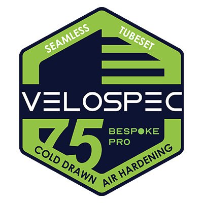 Vspec Pro logo.jpg