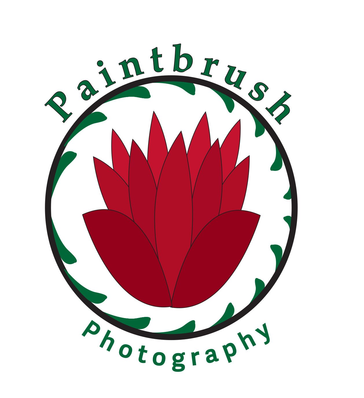 Paintbrush Photography