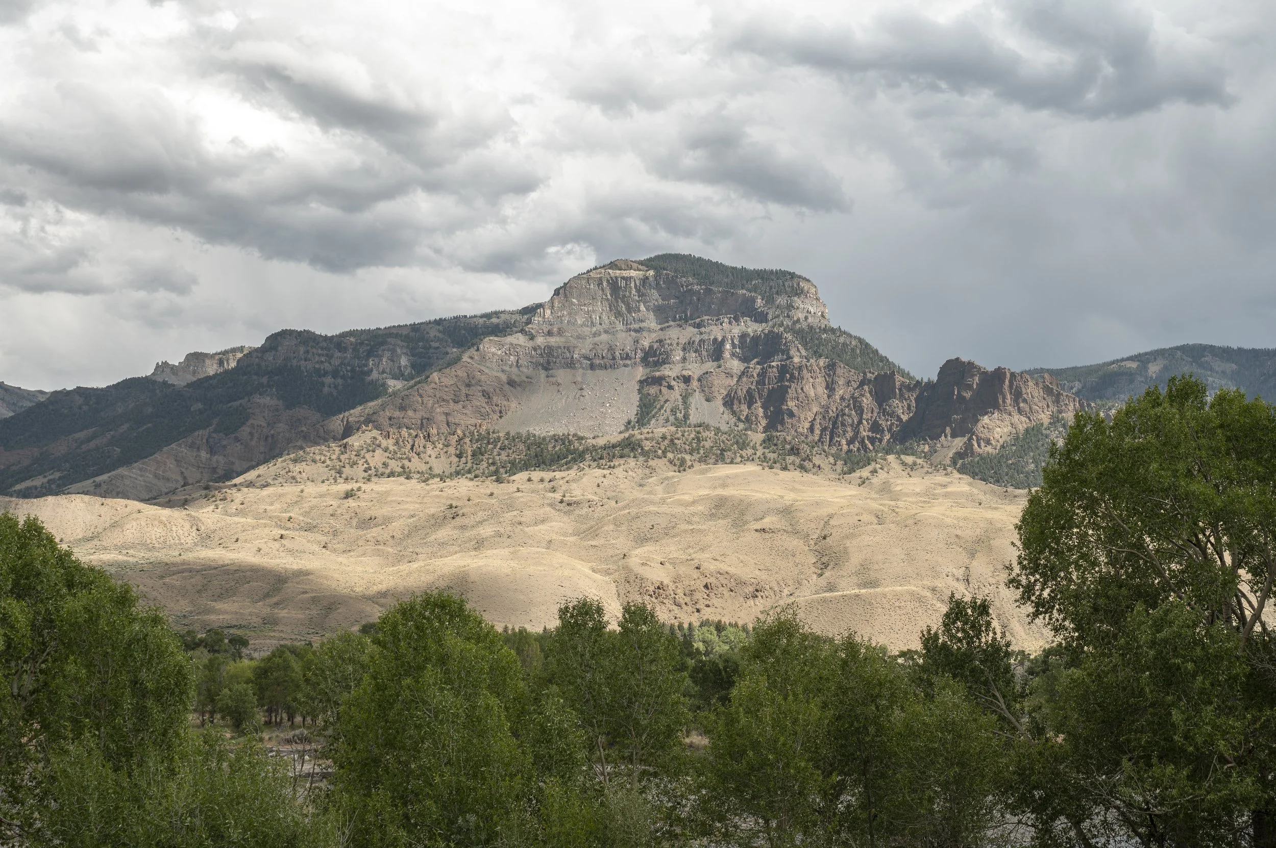 Michael+Ellie_Wedding_08-02-2025-123 copy.jpg