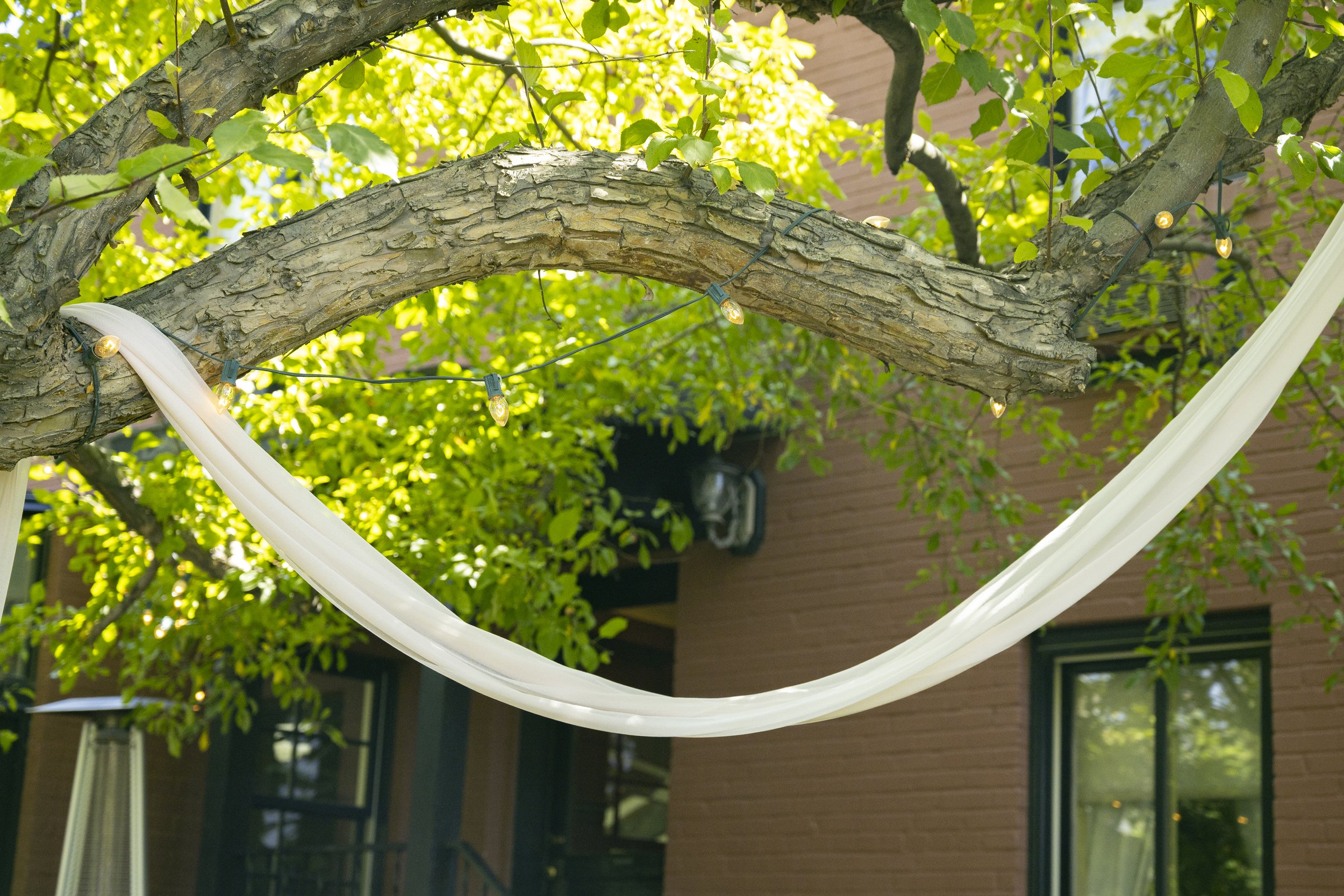 Zach+Hannah_WeddingCeremony-193 copy.jpg